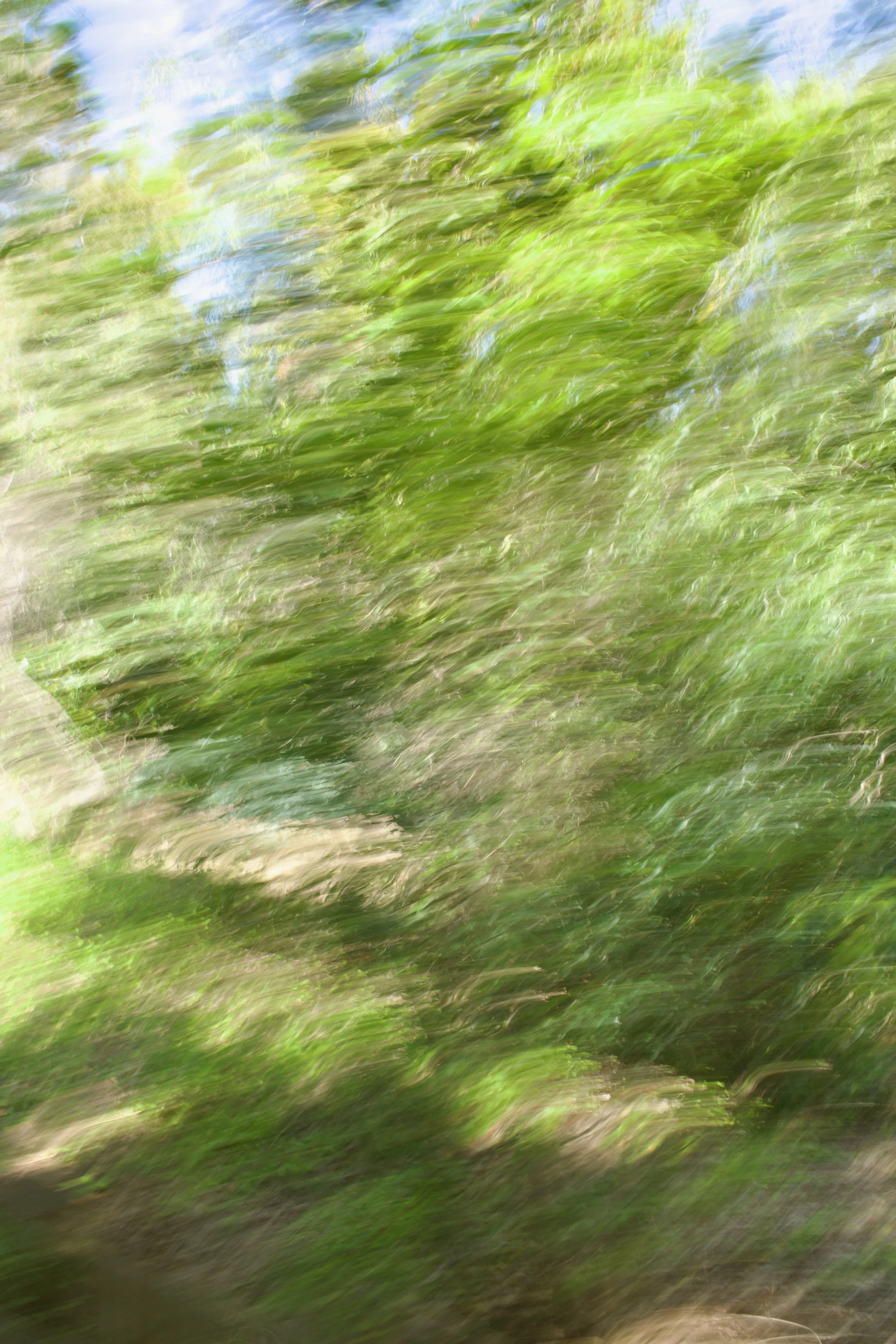  Movement 2023:170(2023) C-print on wood panel, 60”x40” 