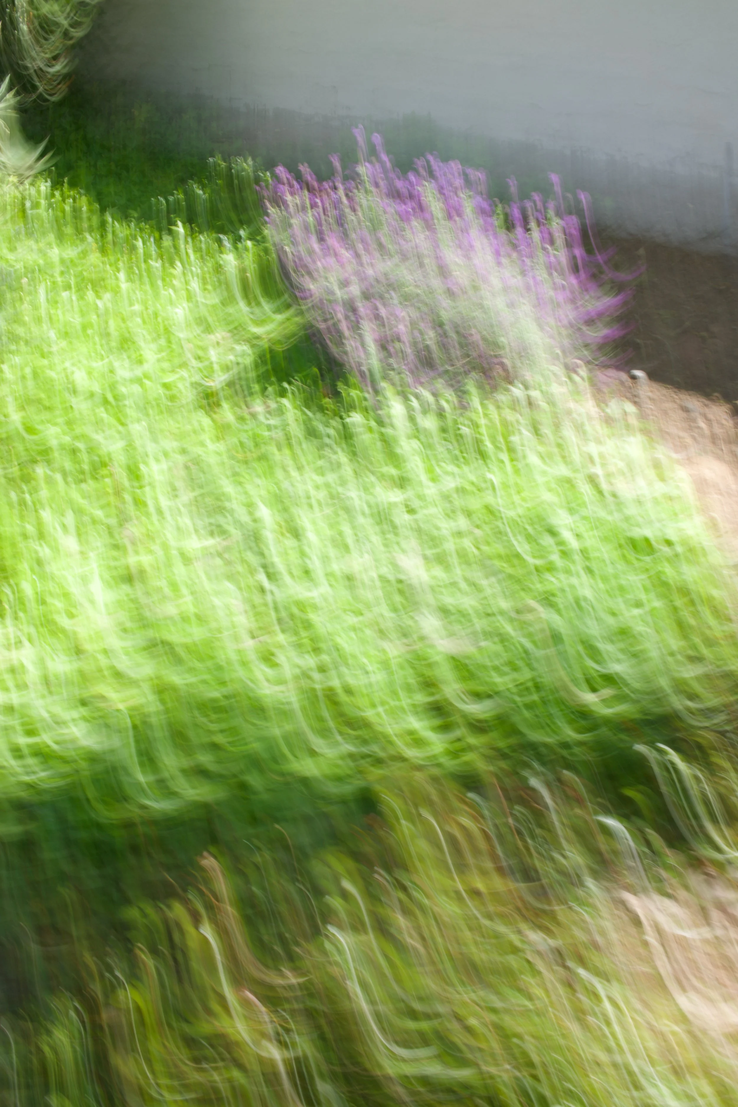  Movement 2023:173 (2023) C-print on wood panel, 60”x40” 