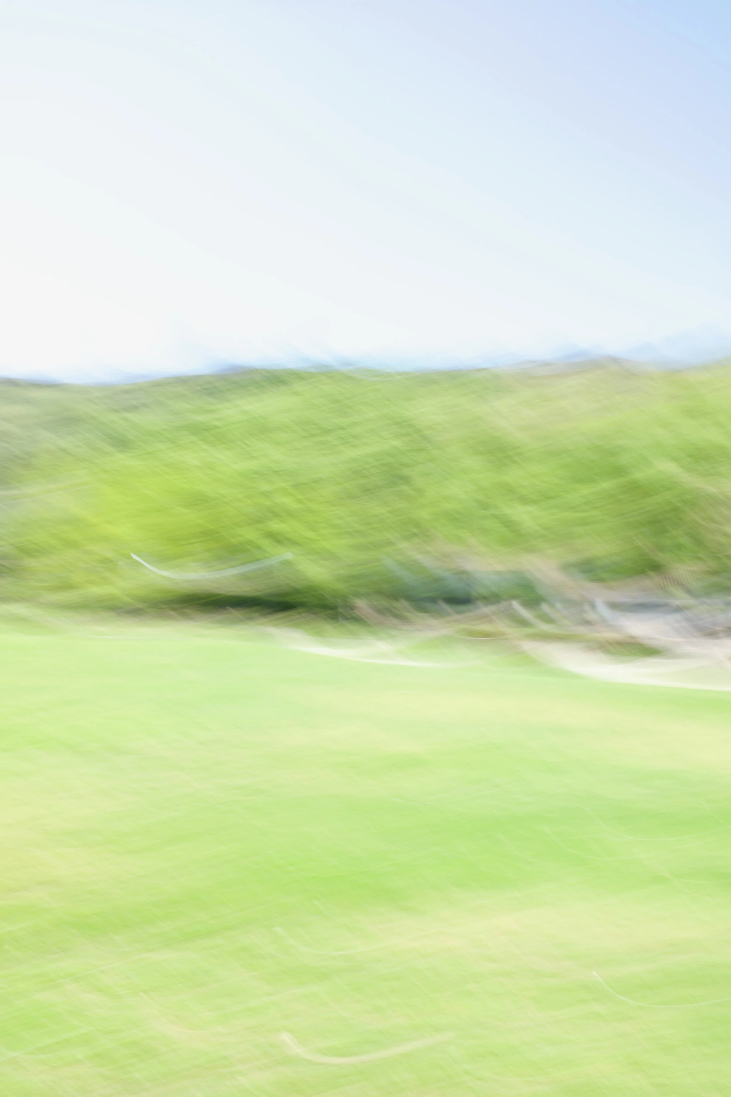  Movement 2023:175 (2023) C-print on wood panel, 60”x40” 