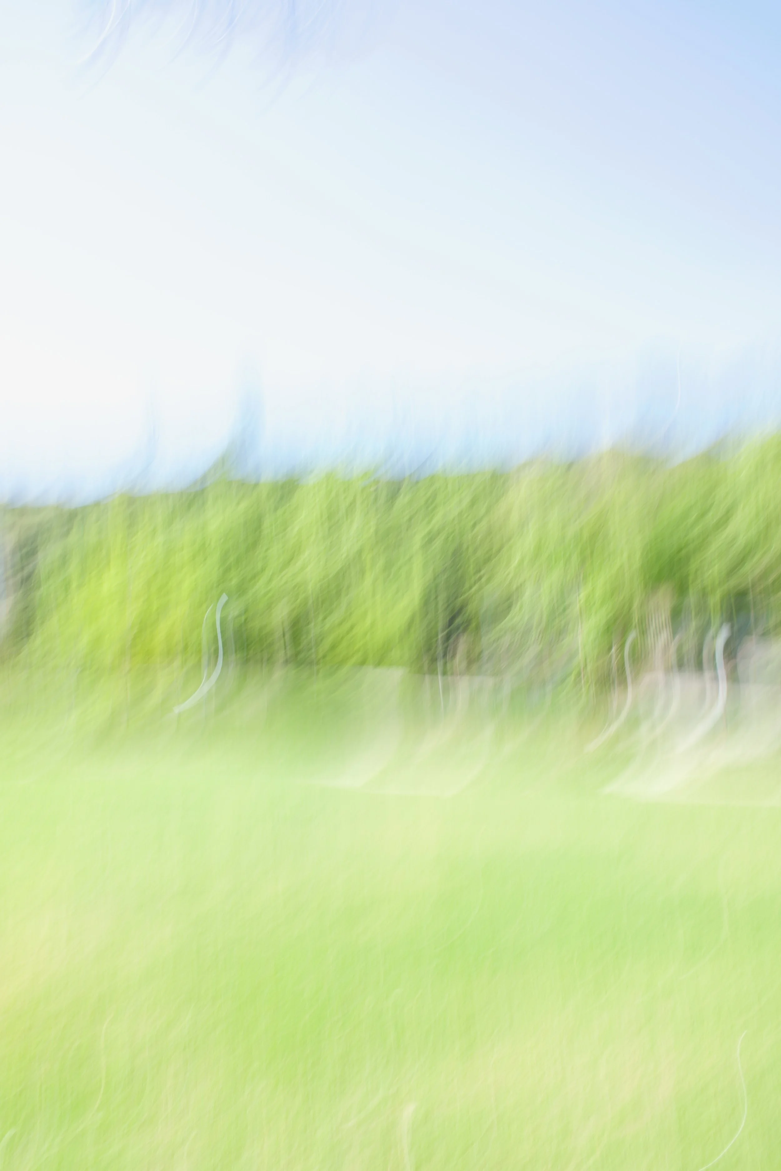  Movement 2023:176 (2023) C-print on wood panel, 60”x40” 