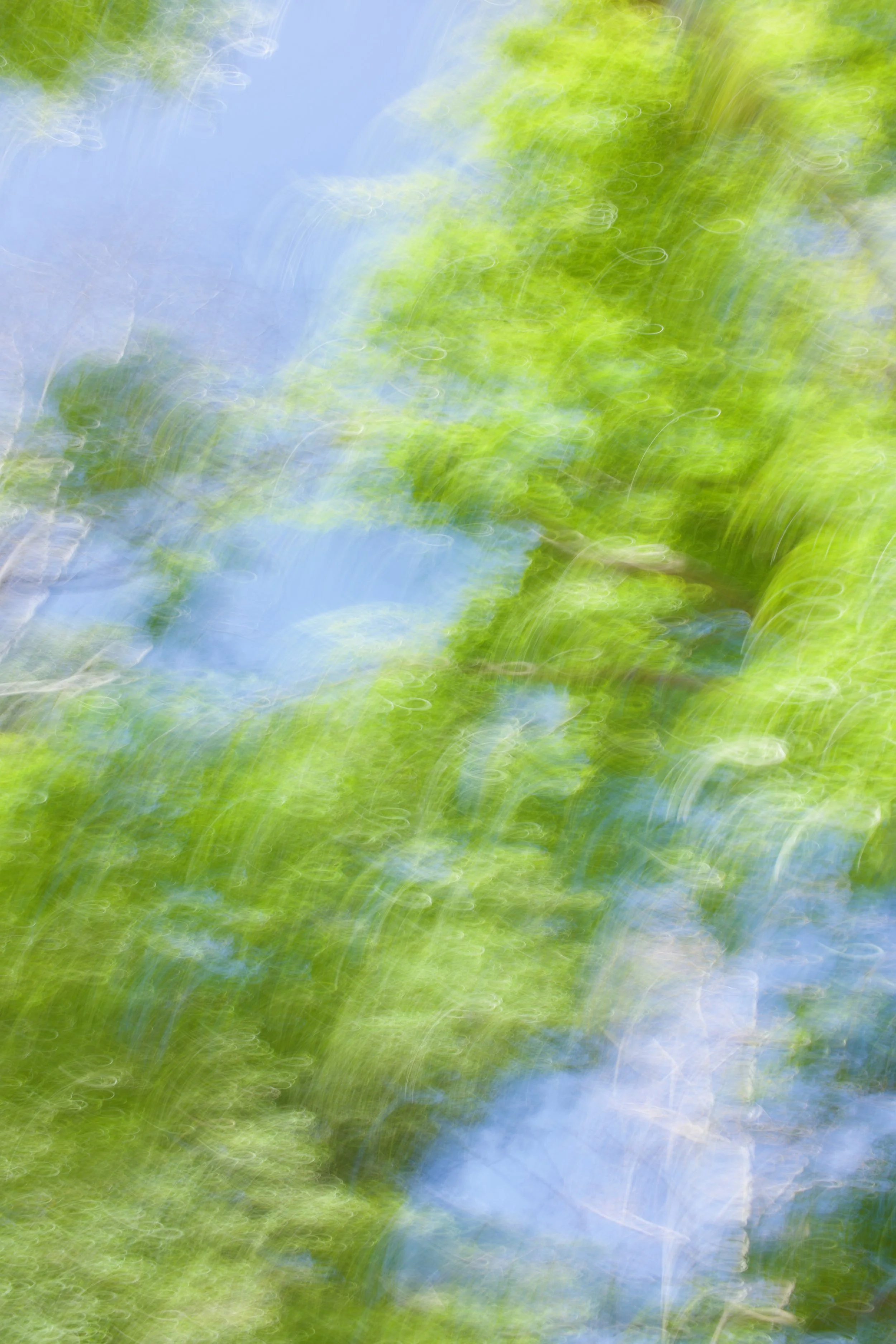  Movement 2023:179 (2023) C-print on wood panel, 60”x40” 