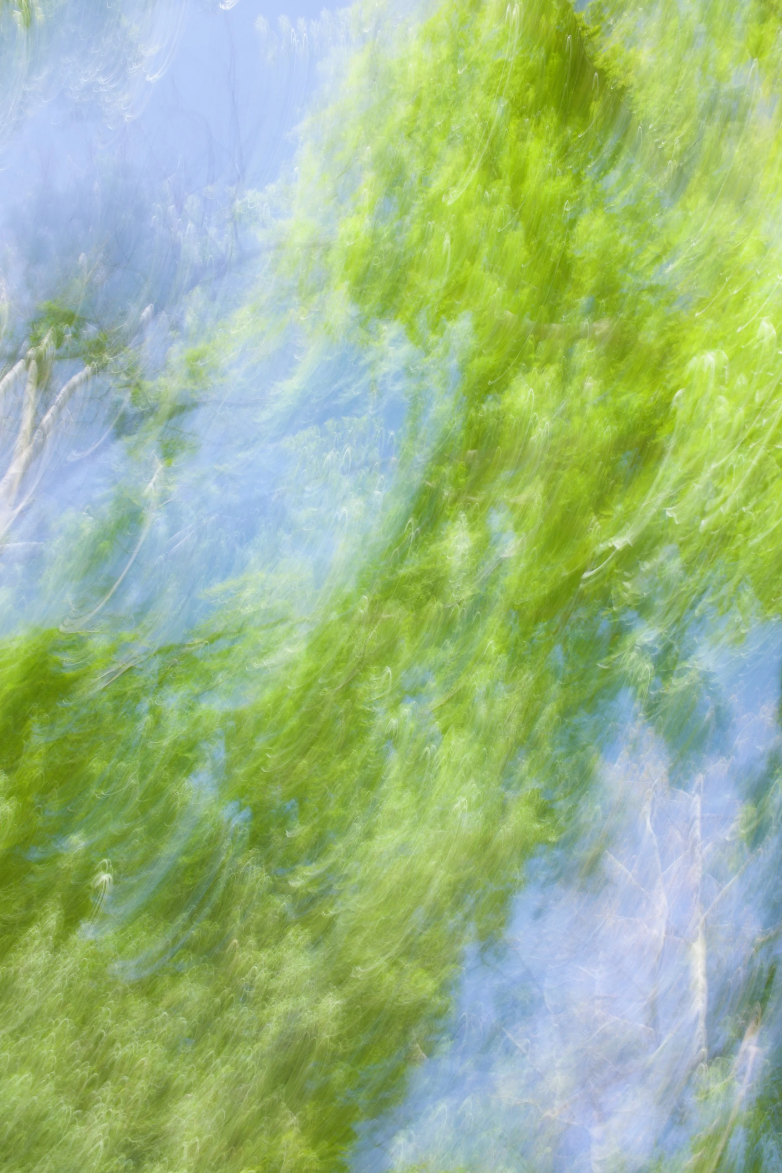  Movement 2023:180 (2023) C-print on wood panel, 60”x40” 