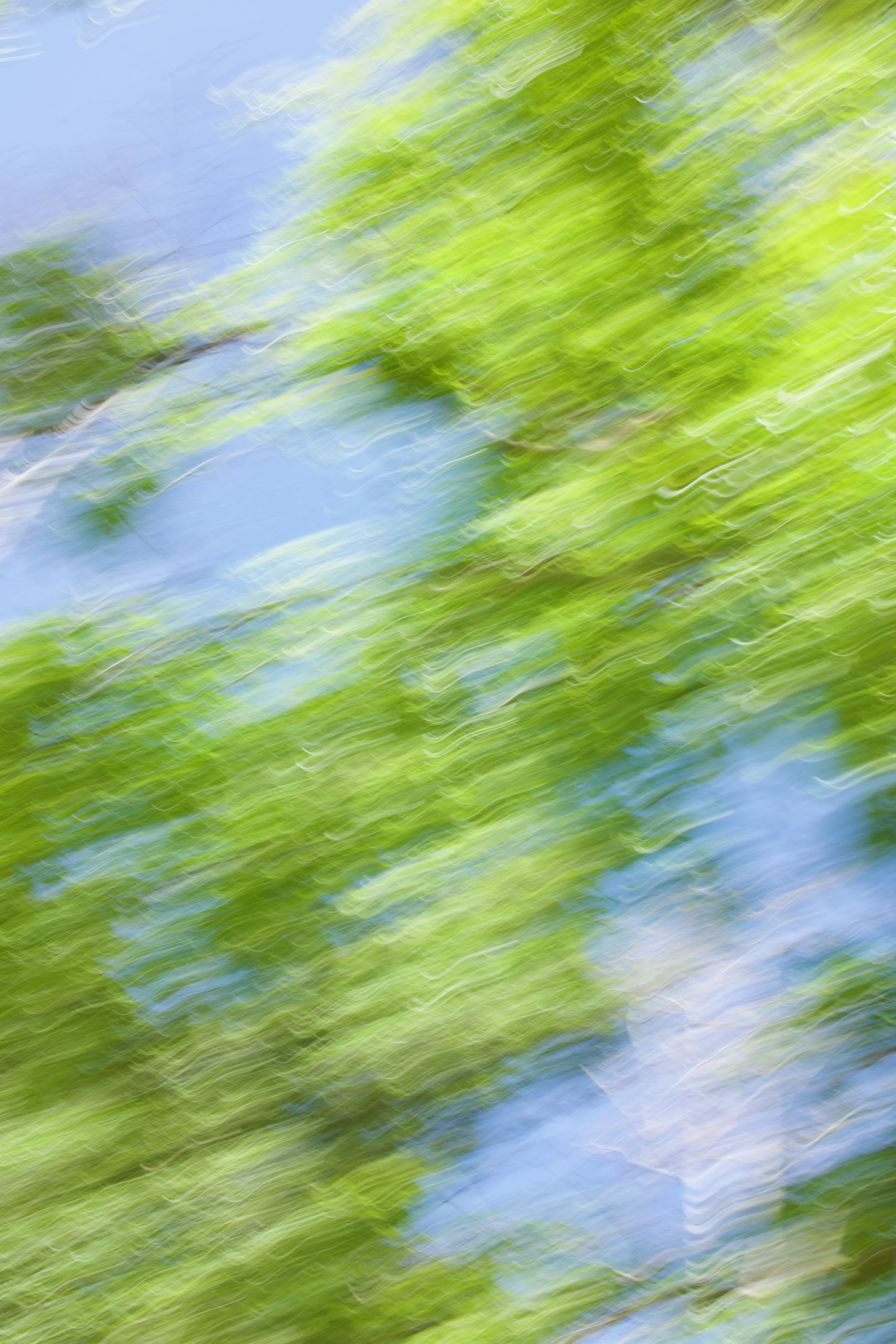  Movement 2023:181 (2023) C-print on wood panel, 60”x40” 