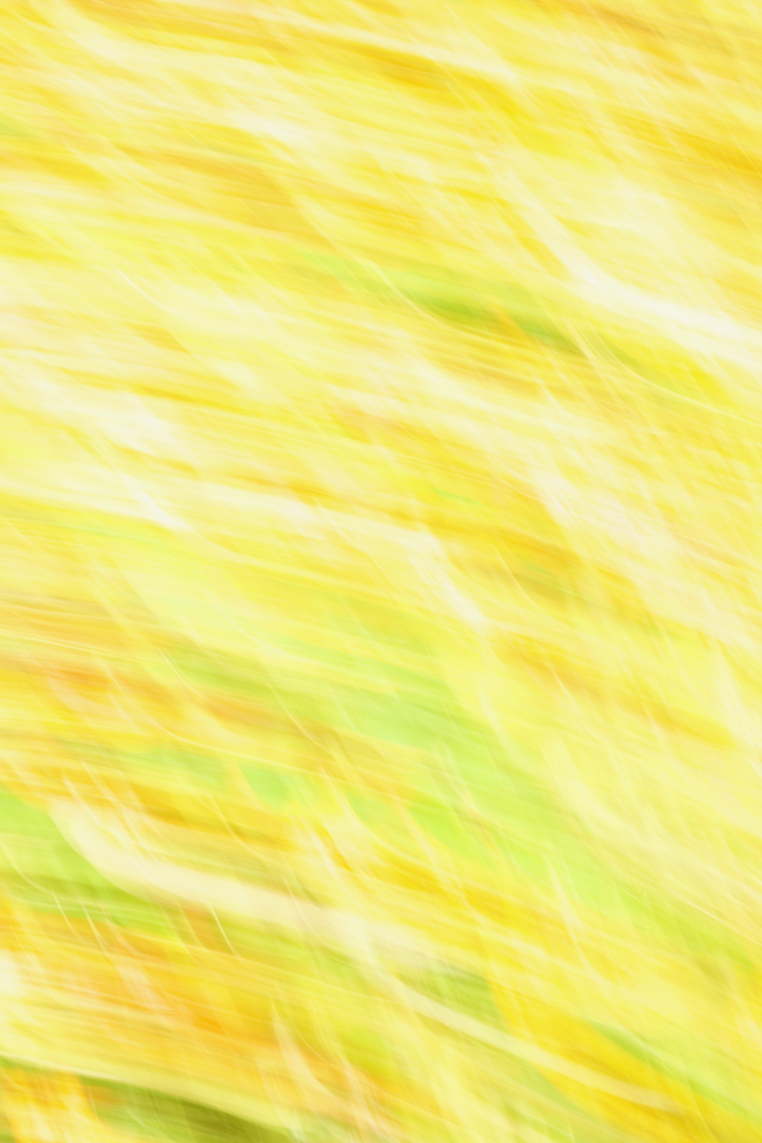  Movement 2023:188 (2023) C-print on wood panel, 60”x40” 