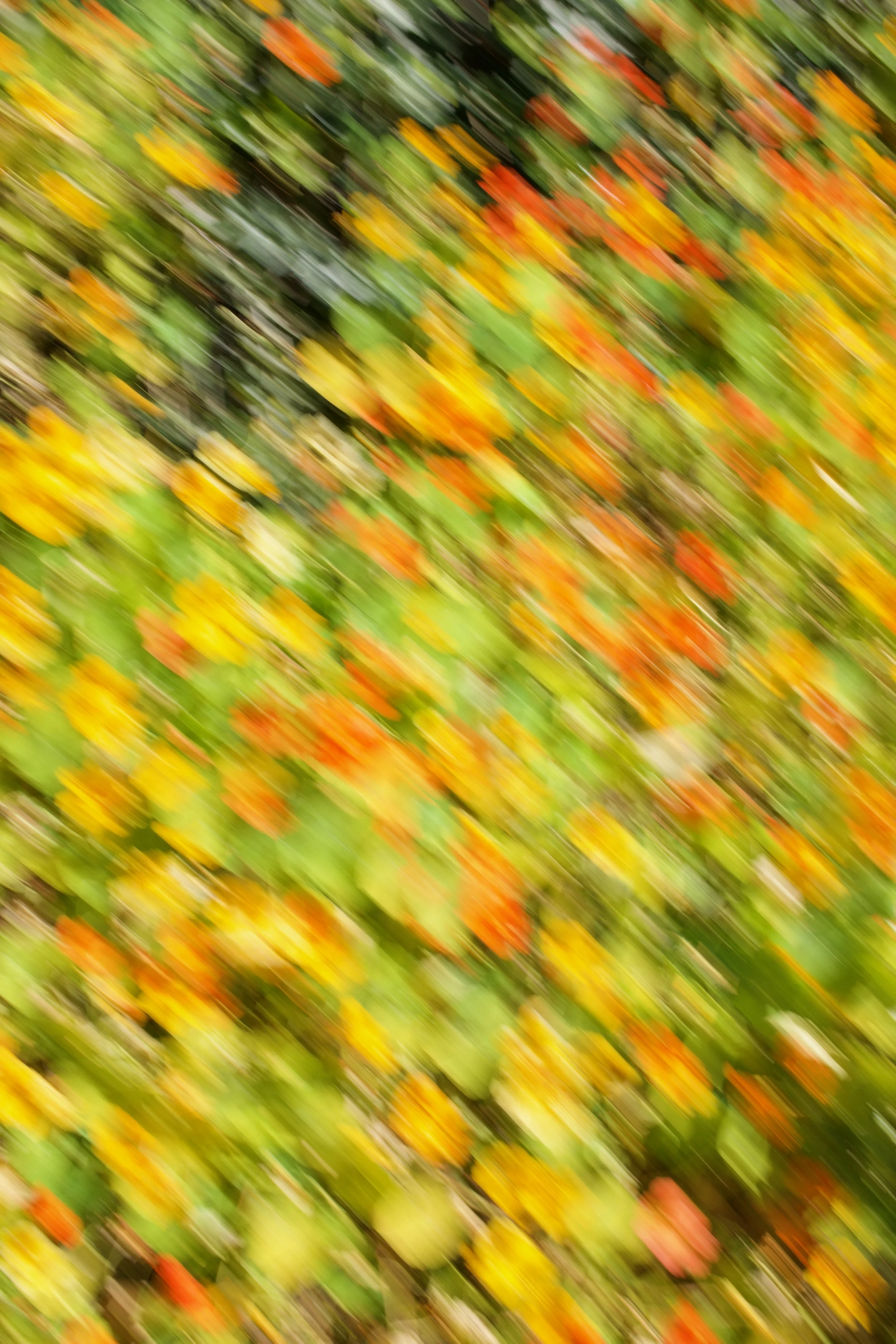  Movement 2023:187 (2023) C-print on wood panel, 60”x40” 