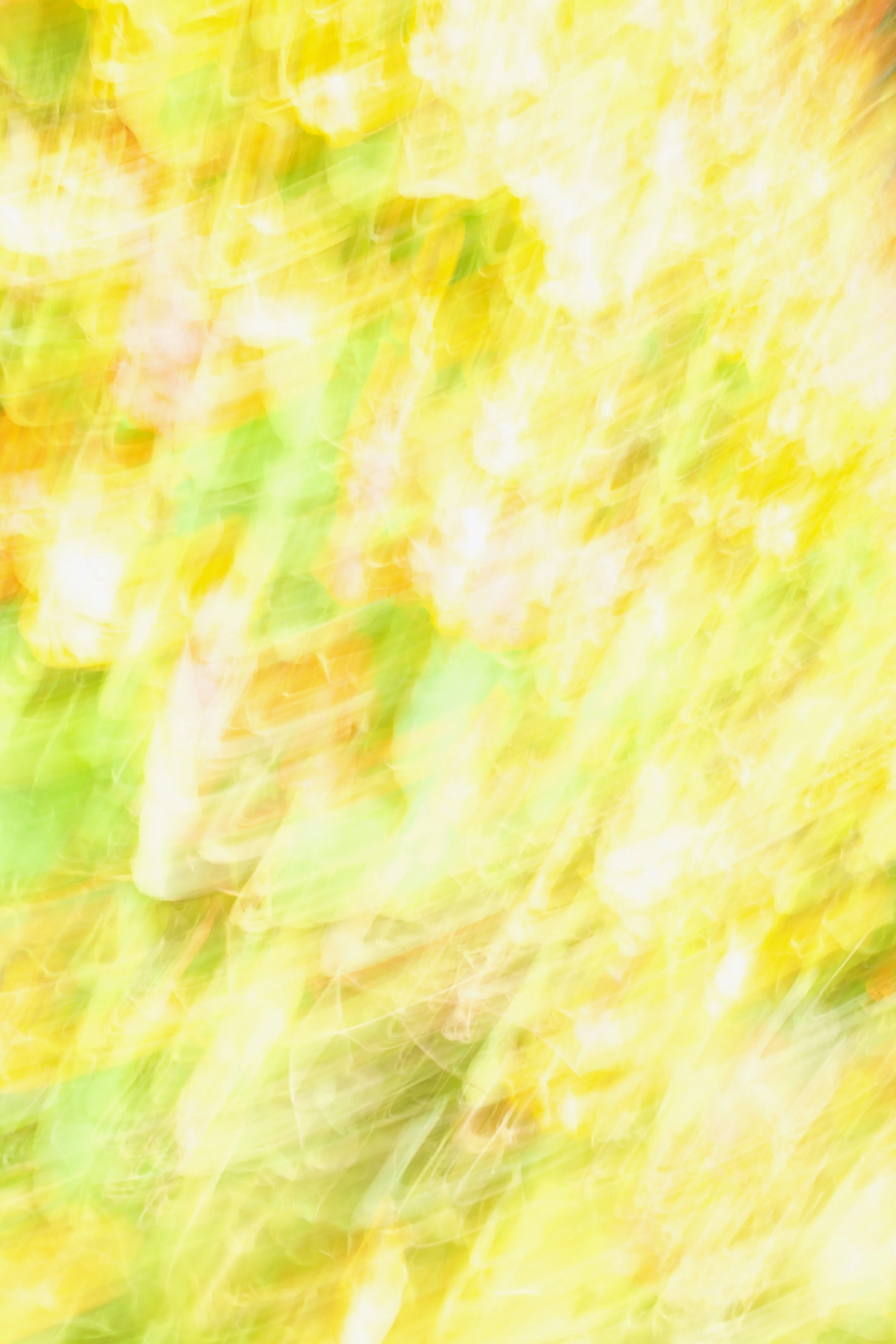  Movement 2023:189 (2023) C-print on wood panel, 60”x40” 