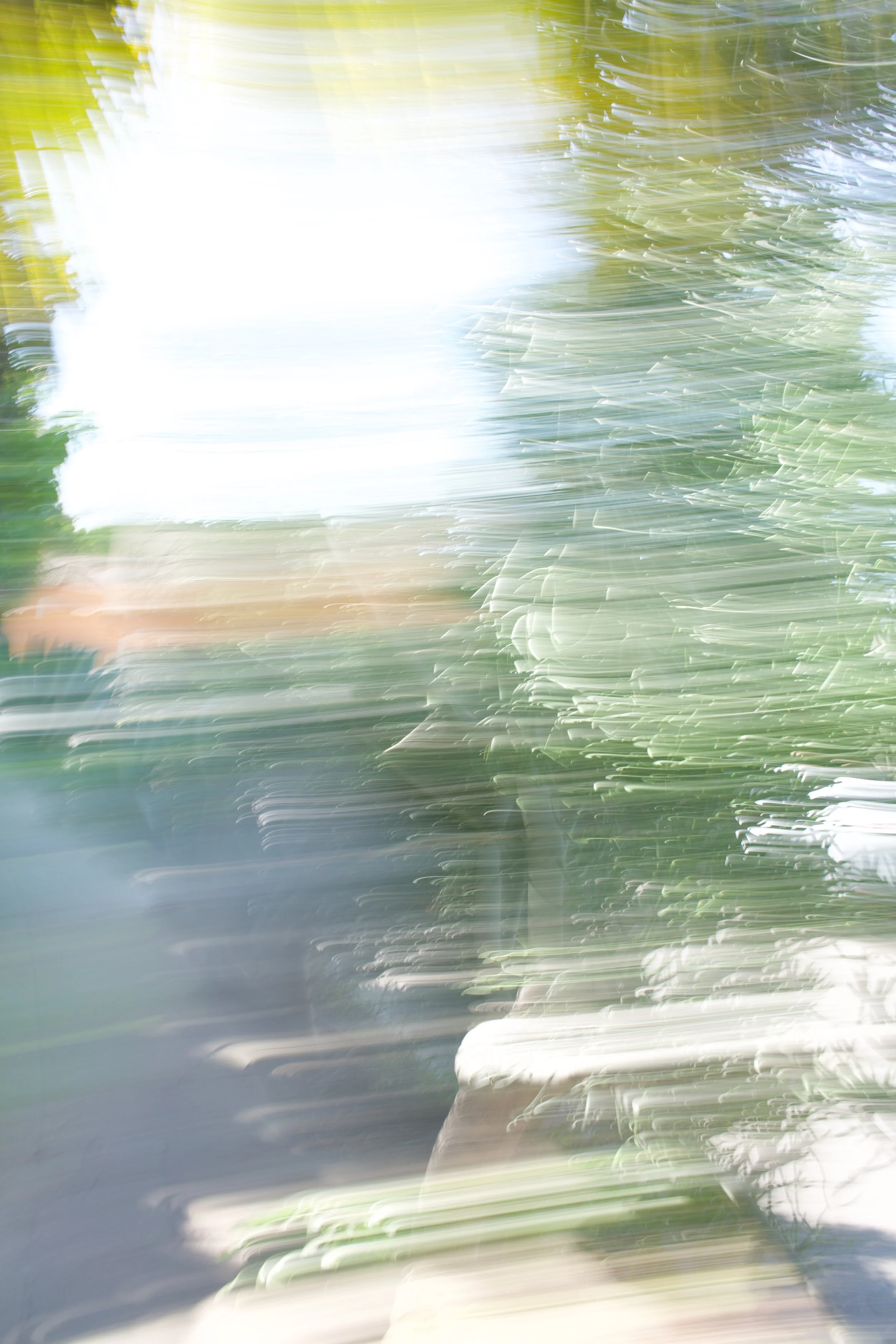  Movement 2023:191 (2023) C-print on wood panel, 60”x40” 