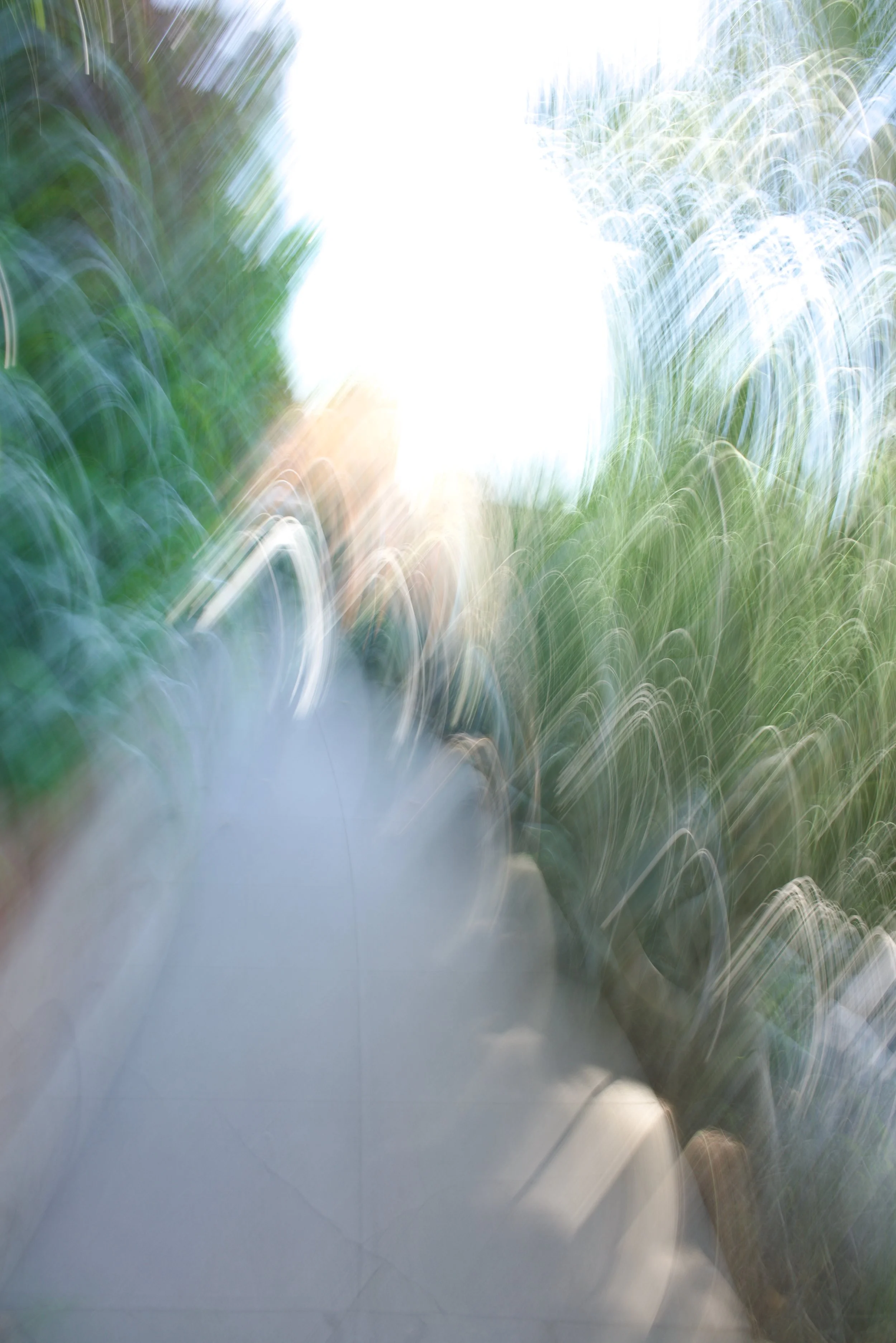  Movement 2023:192 (2023) C-print on wood panel, 60”x40” 