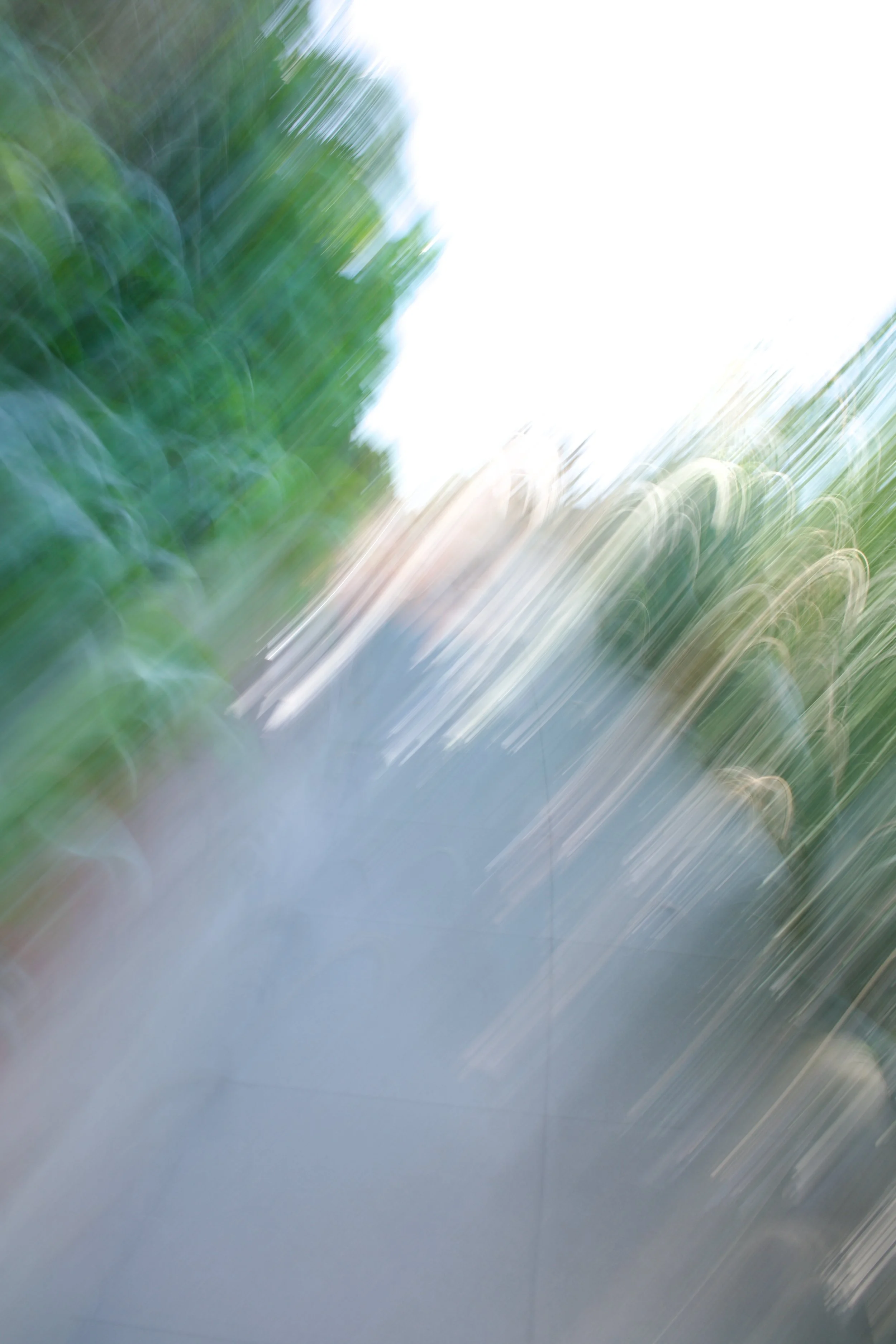  Movement 2023:193 (2023) C-print on wood panel, 60”x40” 