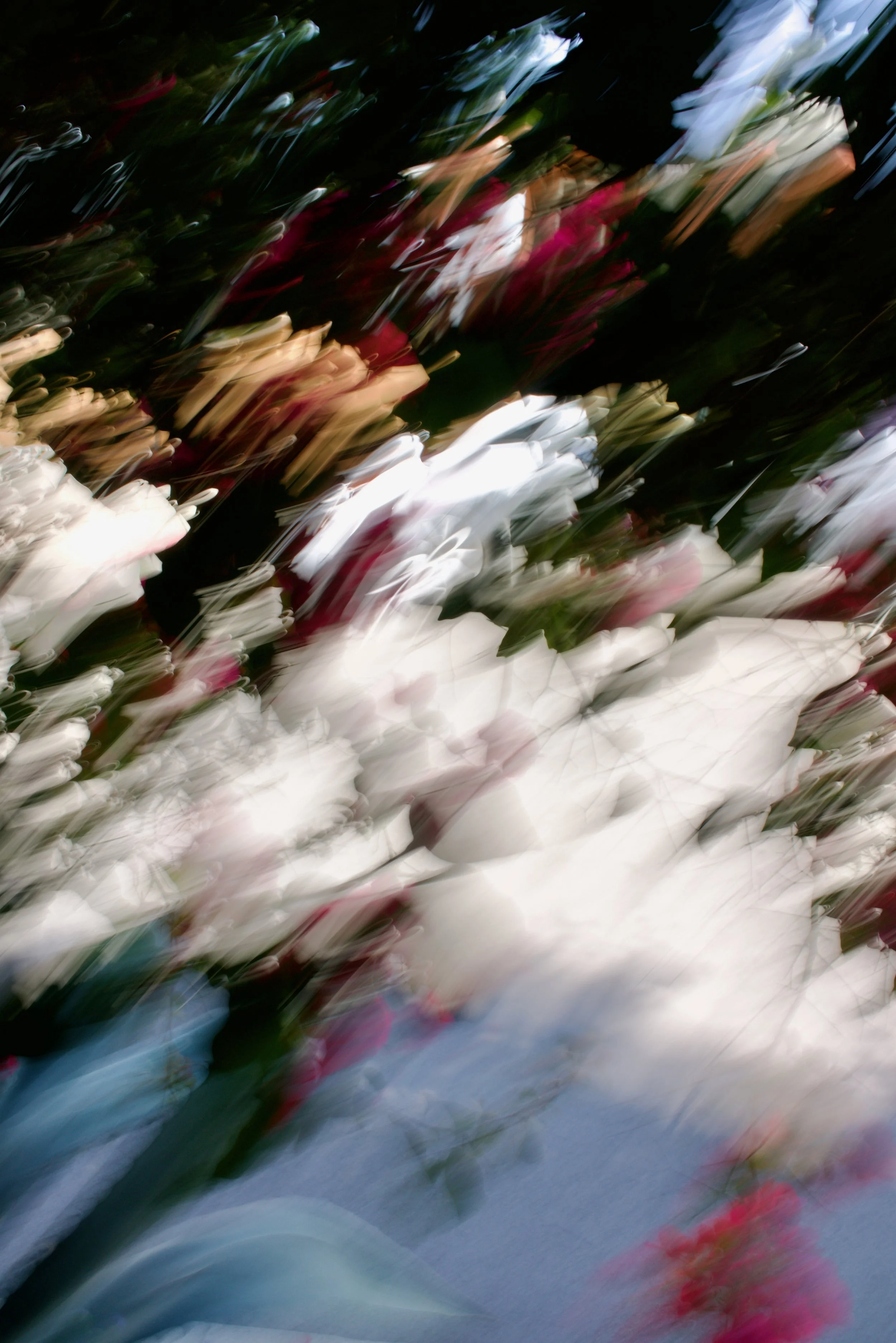  Movement 2023:199 (2023) C-print on wood panel, 60”x40” 