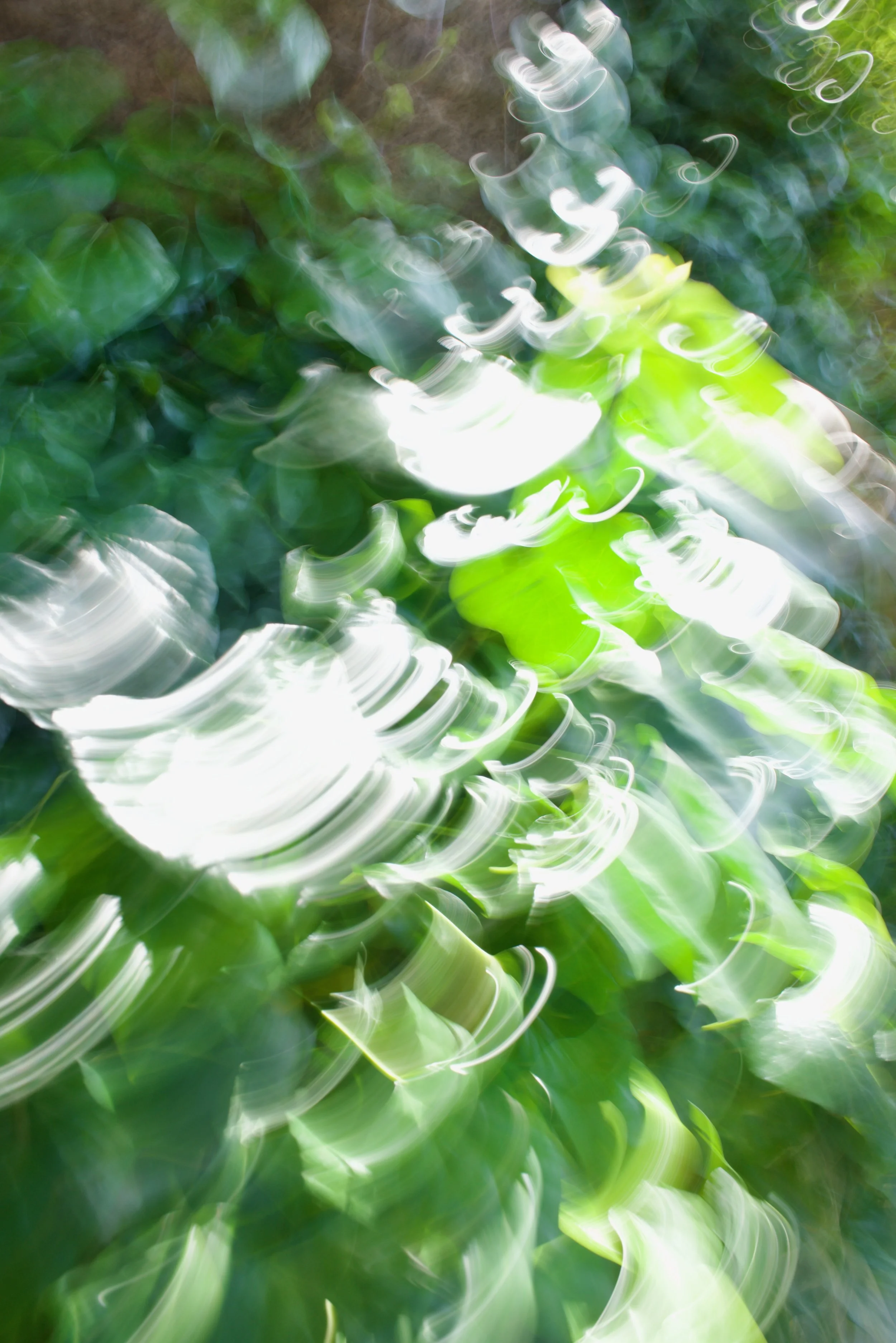  Movement 2023:200 (2023) C-print on wood panel, 60”x40” 