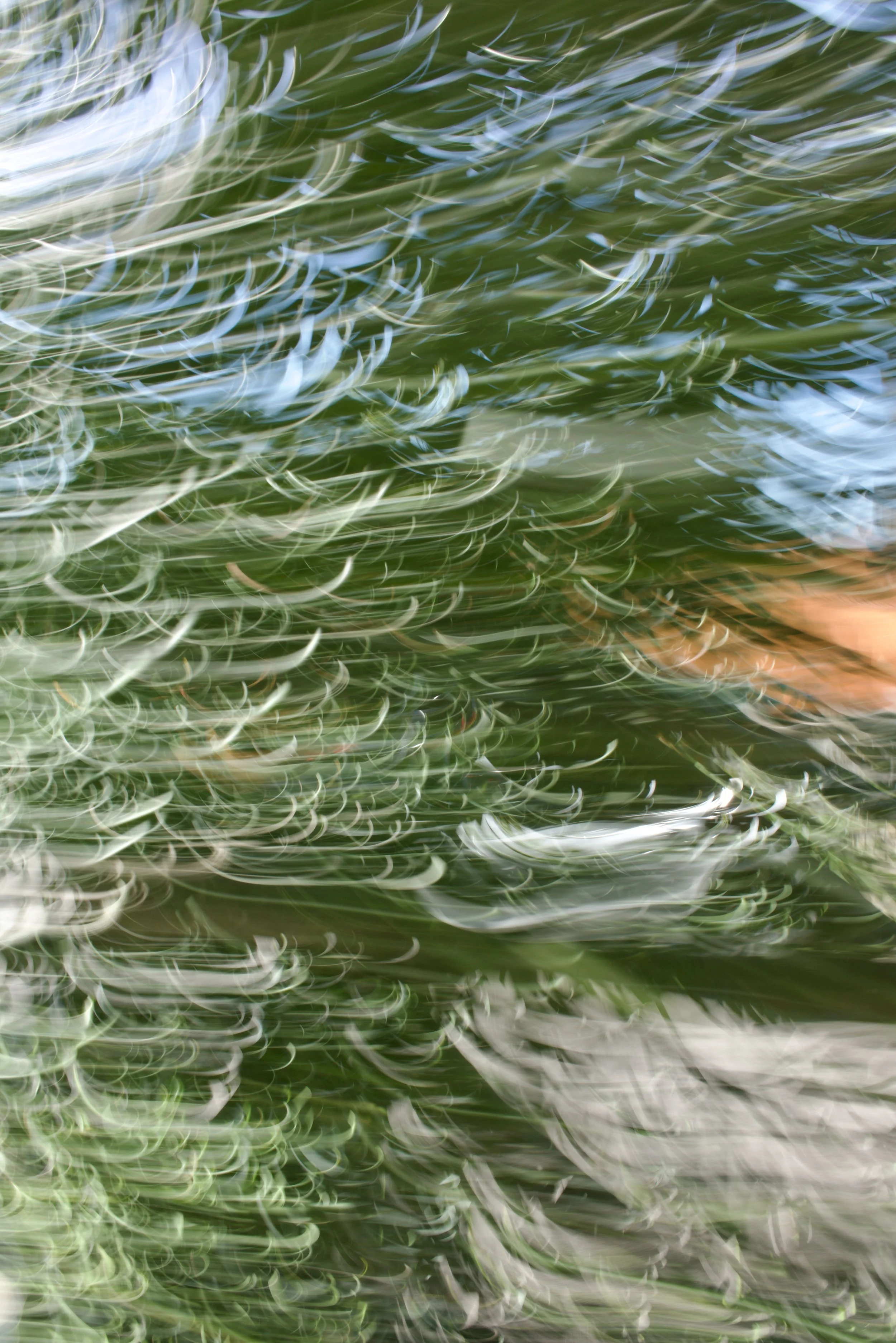  Movement 2023:201 (2023) C-print on wood panel, 60”x40” 