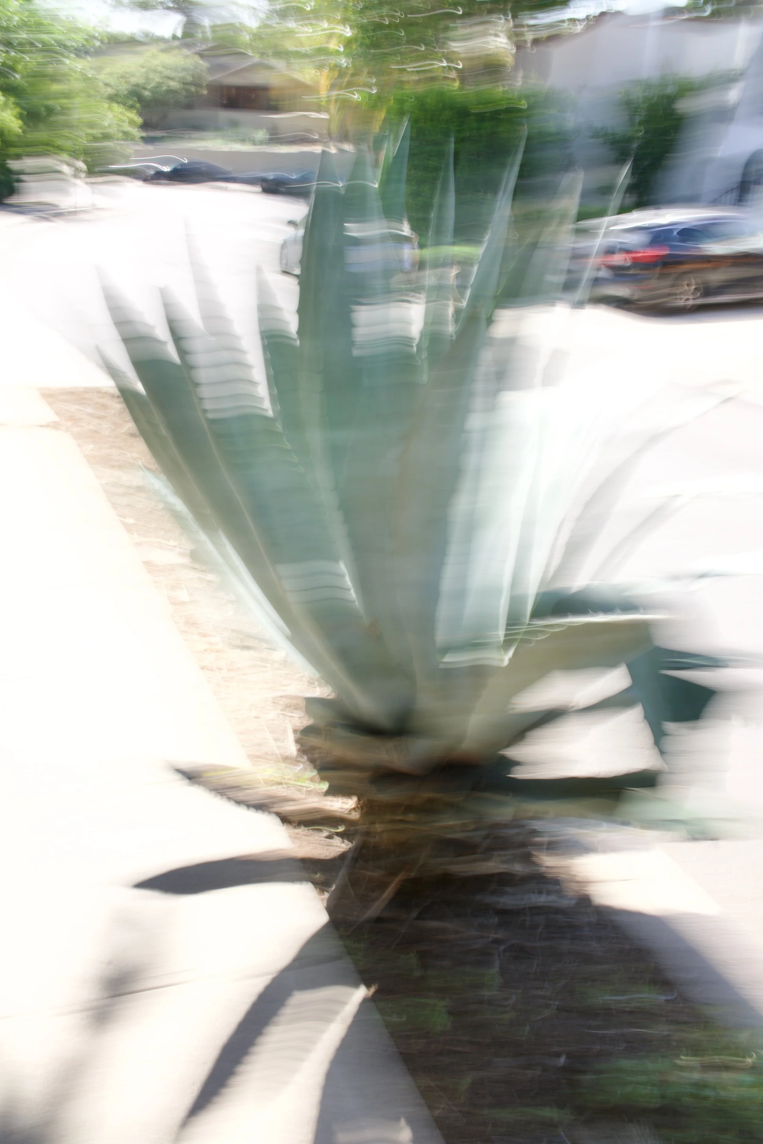  Movement 2023:202 (2023) C-print on wood panel, 60”x40” 