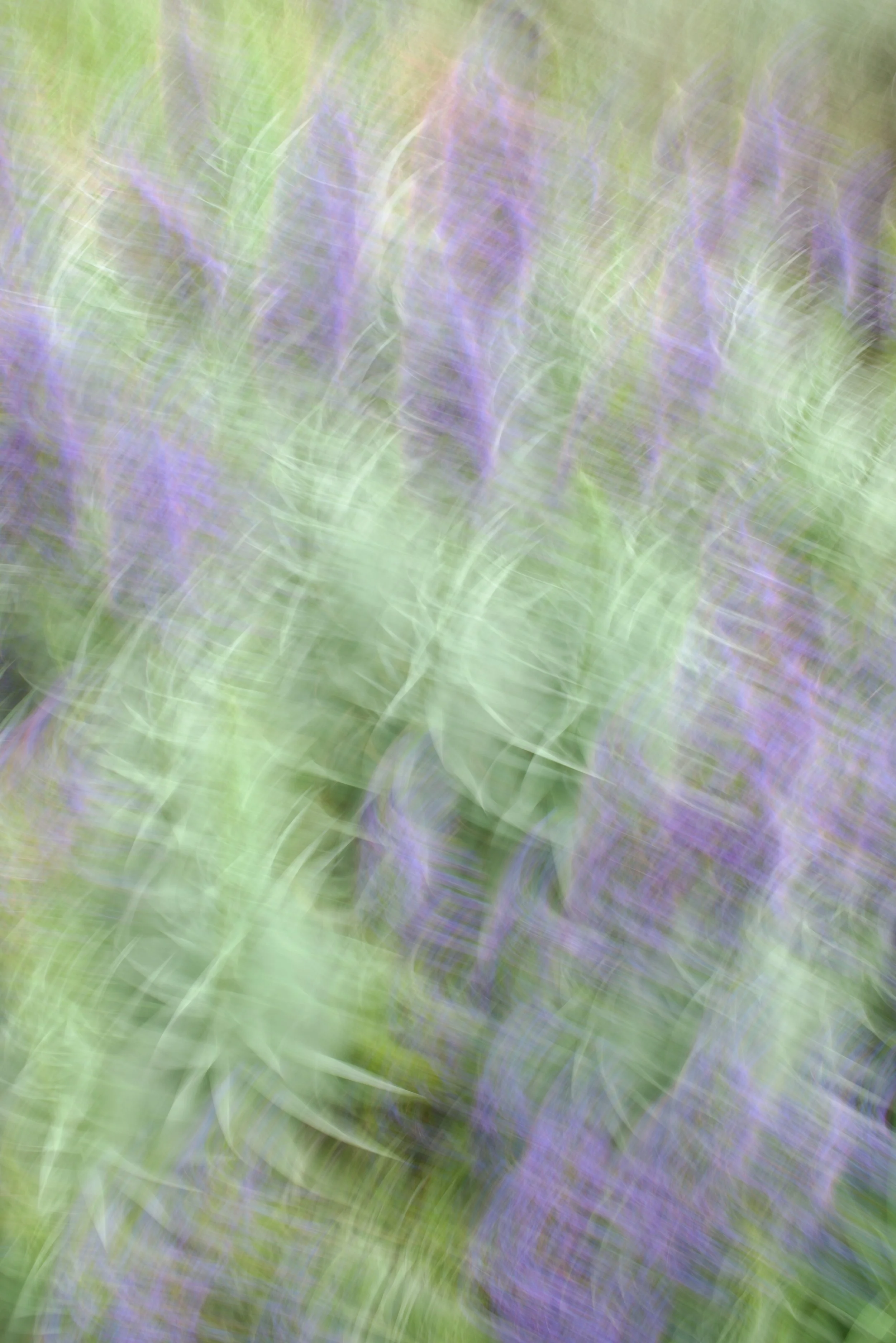  Movement 2023:203 (2023) C-print on wood panel, 60”x40” 