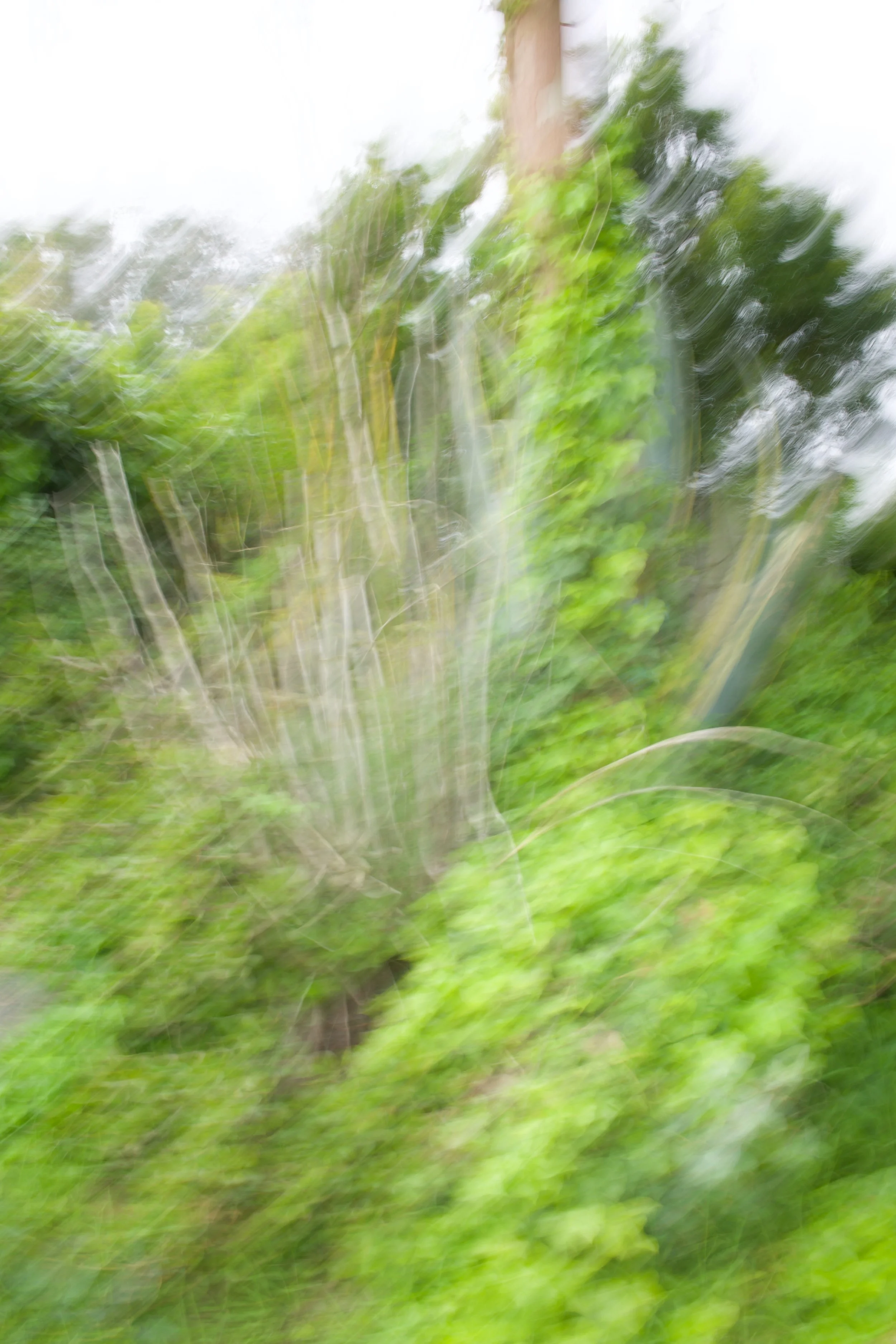  Movement 2023:206 (2023) C-print on wood panel, 60”x40” 