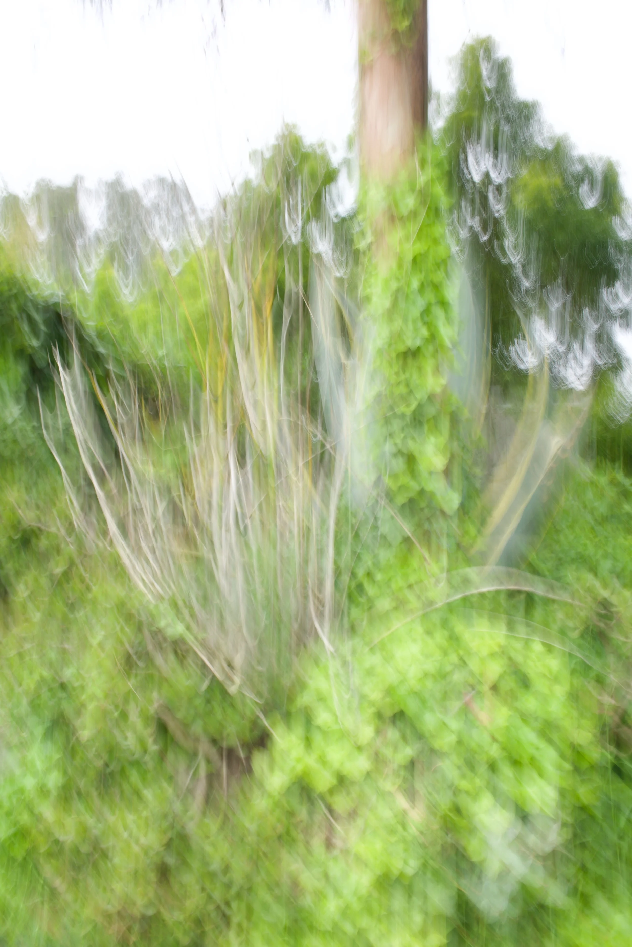  Movement 2023:207 (2023) C-print on wood panel, 60”x40” 