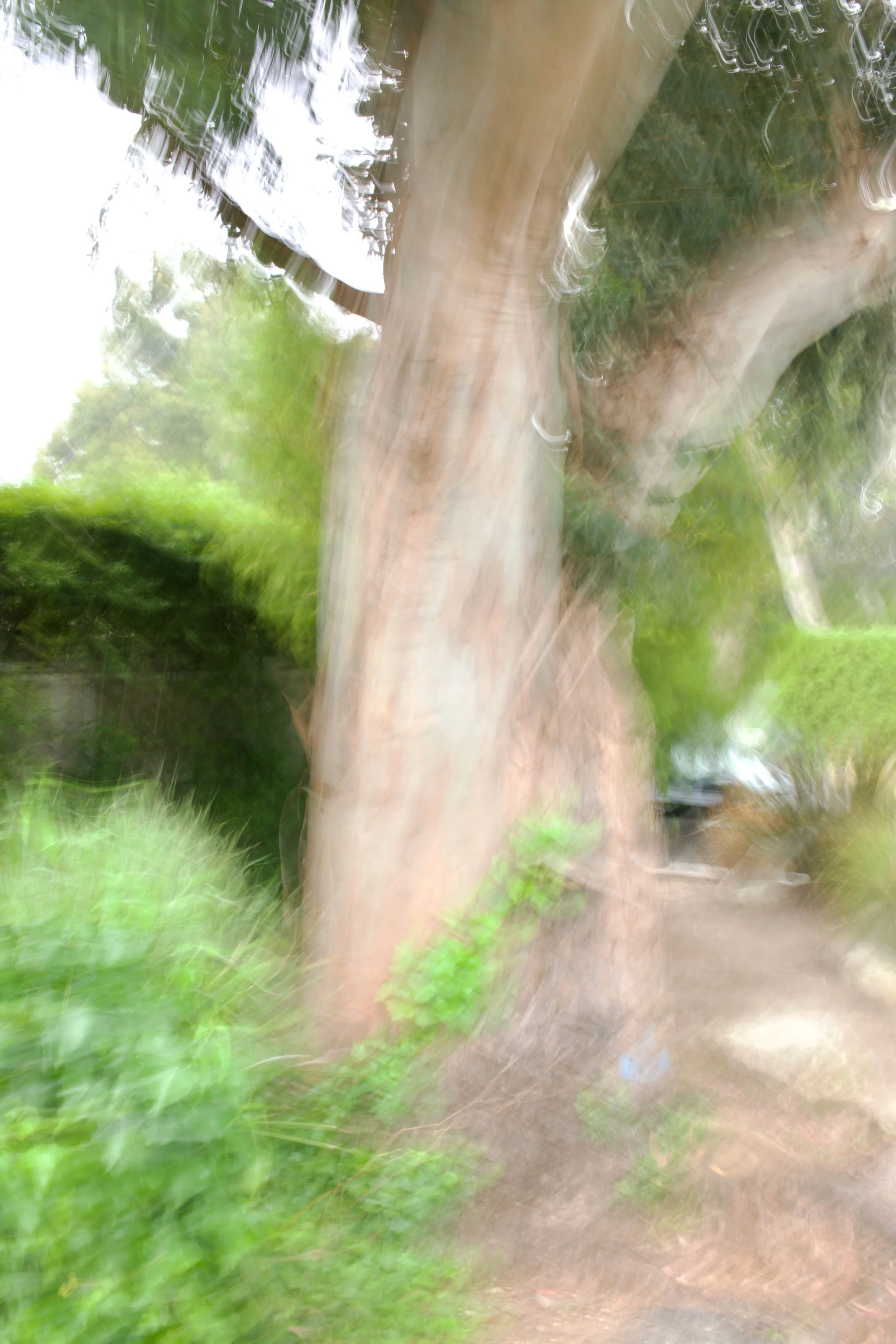  Movement 2023:208 (2023) C-print on wood panel, 60”x40” 