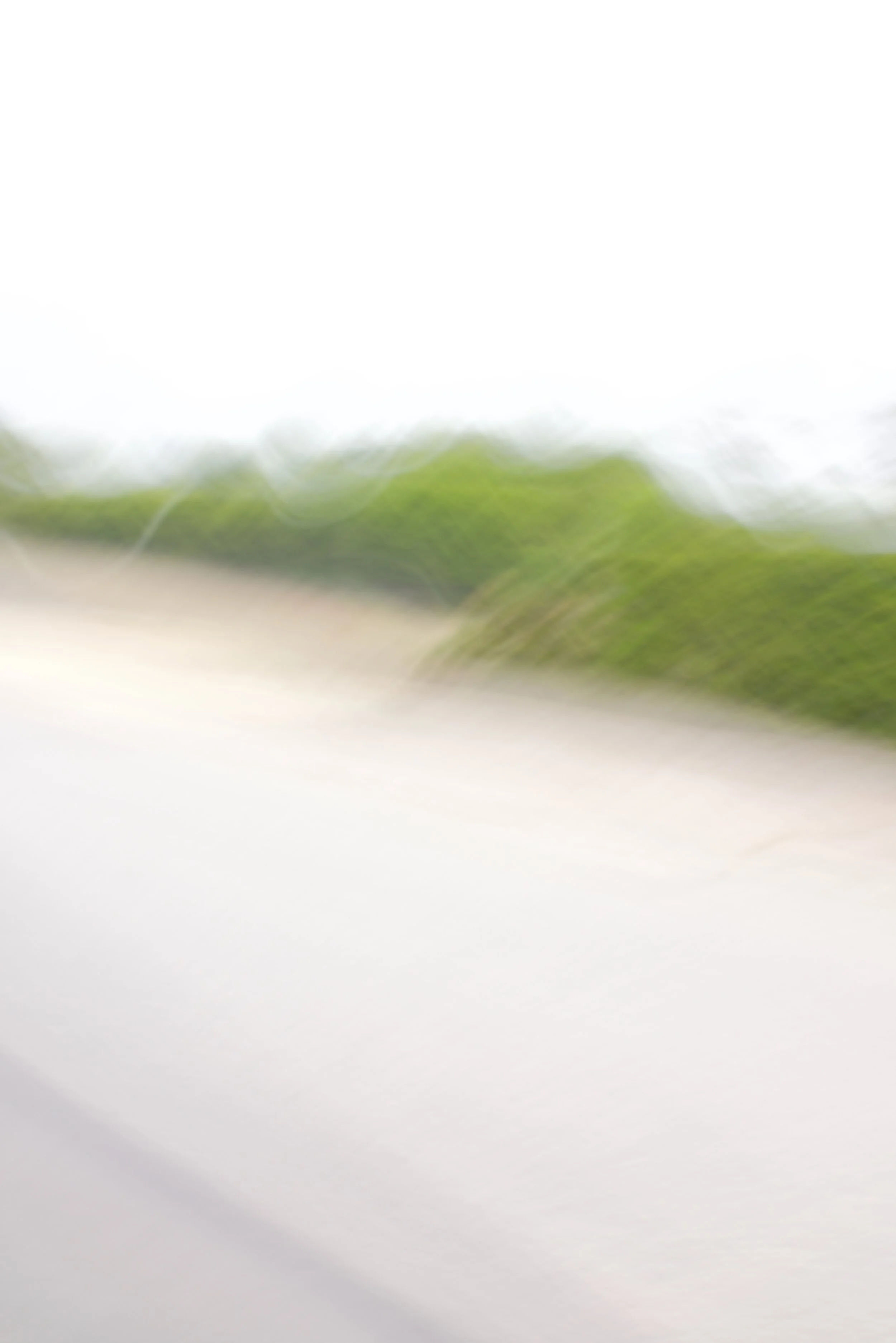  Movement 2023:209 (2023) C-print on wood panel, 60”x40” 