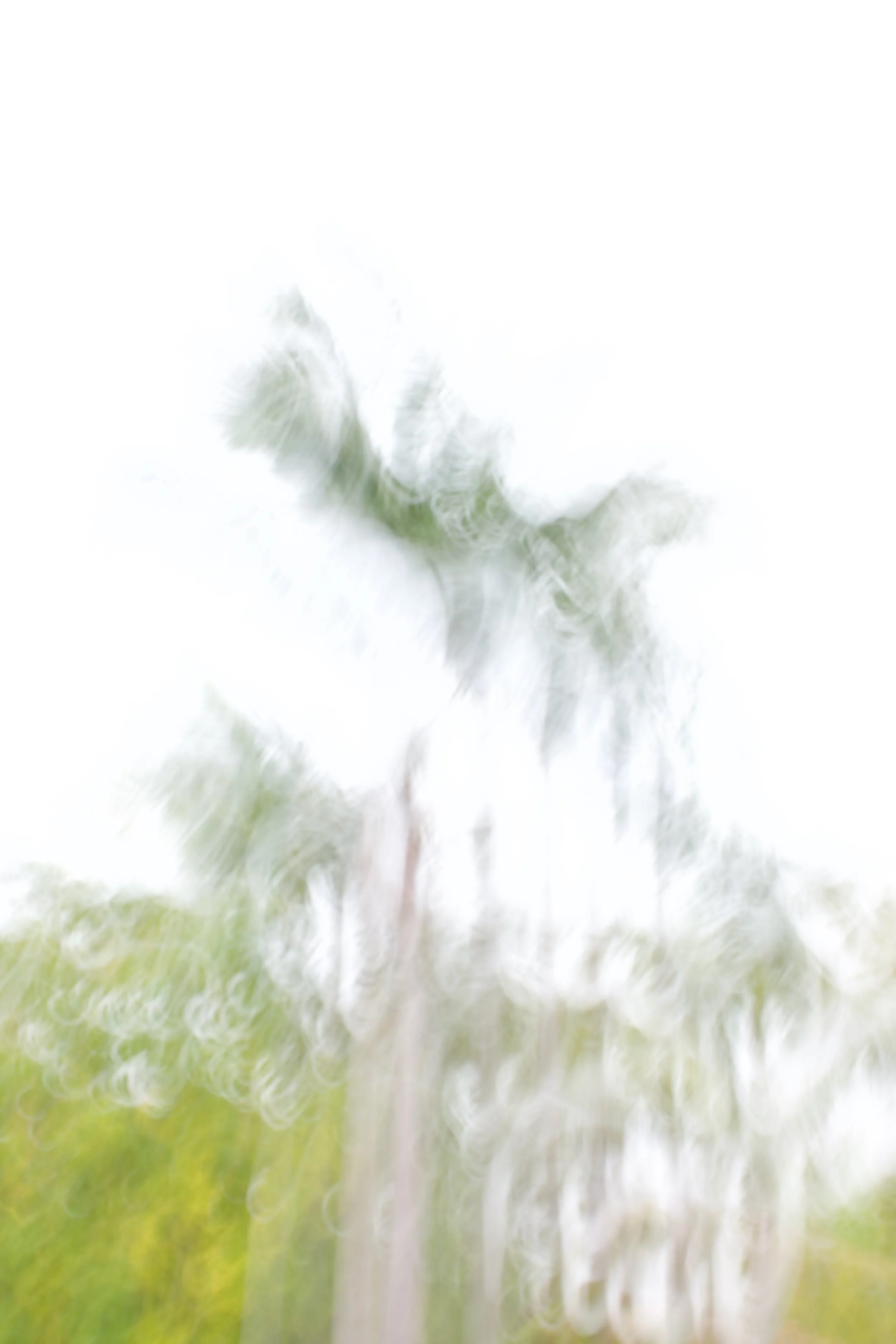  Movement 2023:210 (2023) C-print on wood panel, 60”x40” 