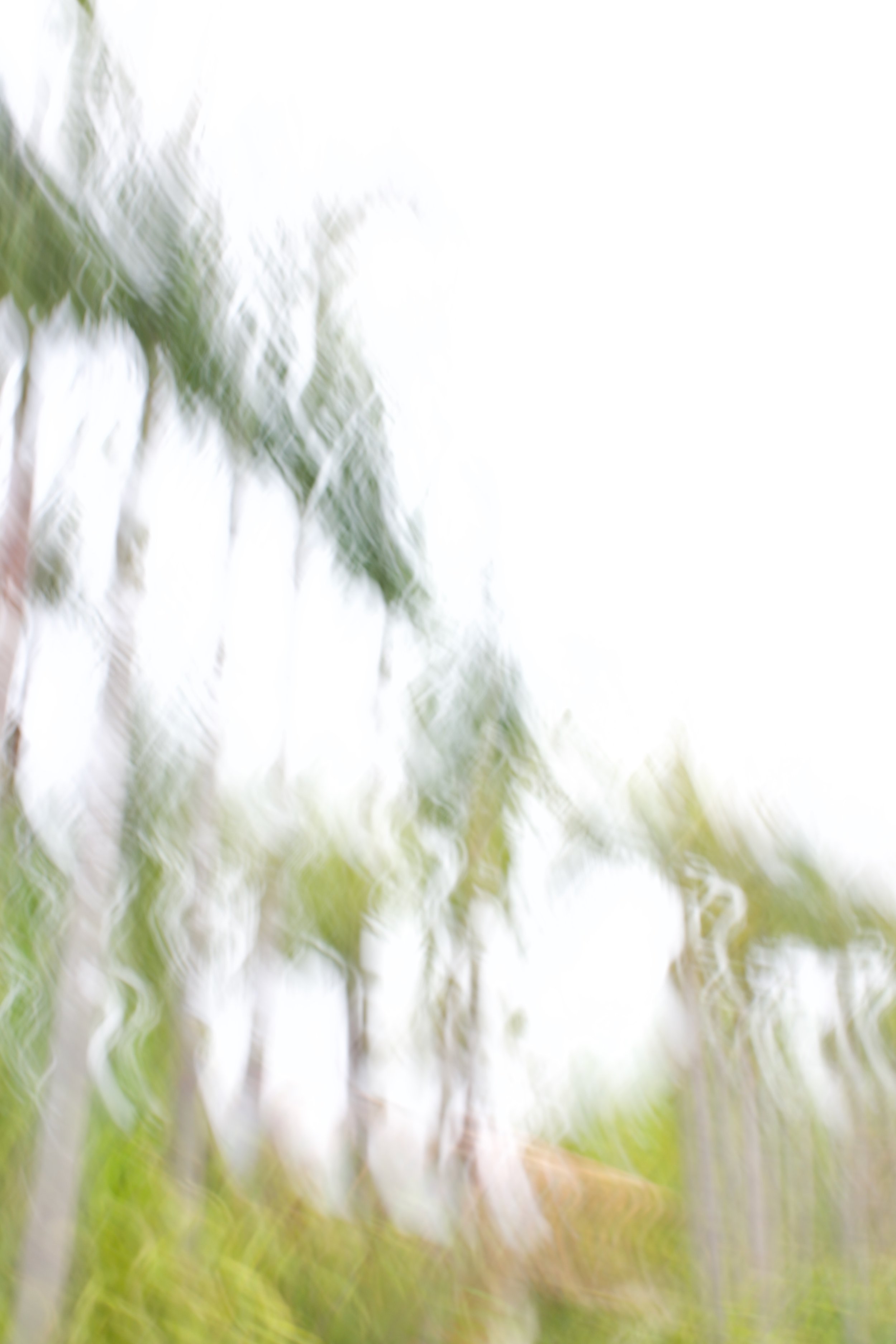  Movement 2023:211 (2023) C-print on wood panel, 60”x40” 