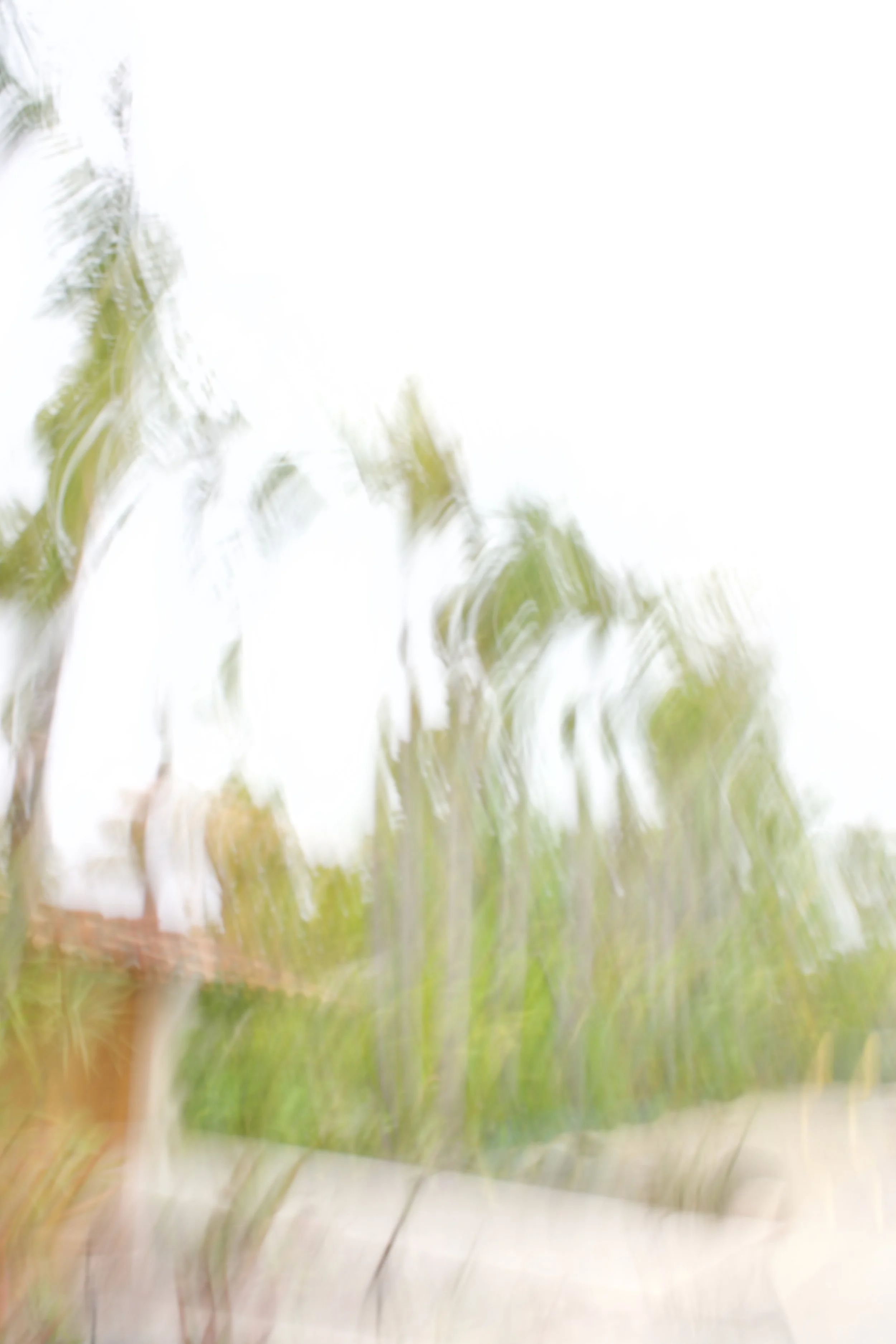  Movement 2023:212 (2023) C-print on wood panel, 60”x40” 