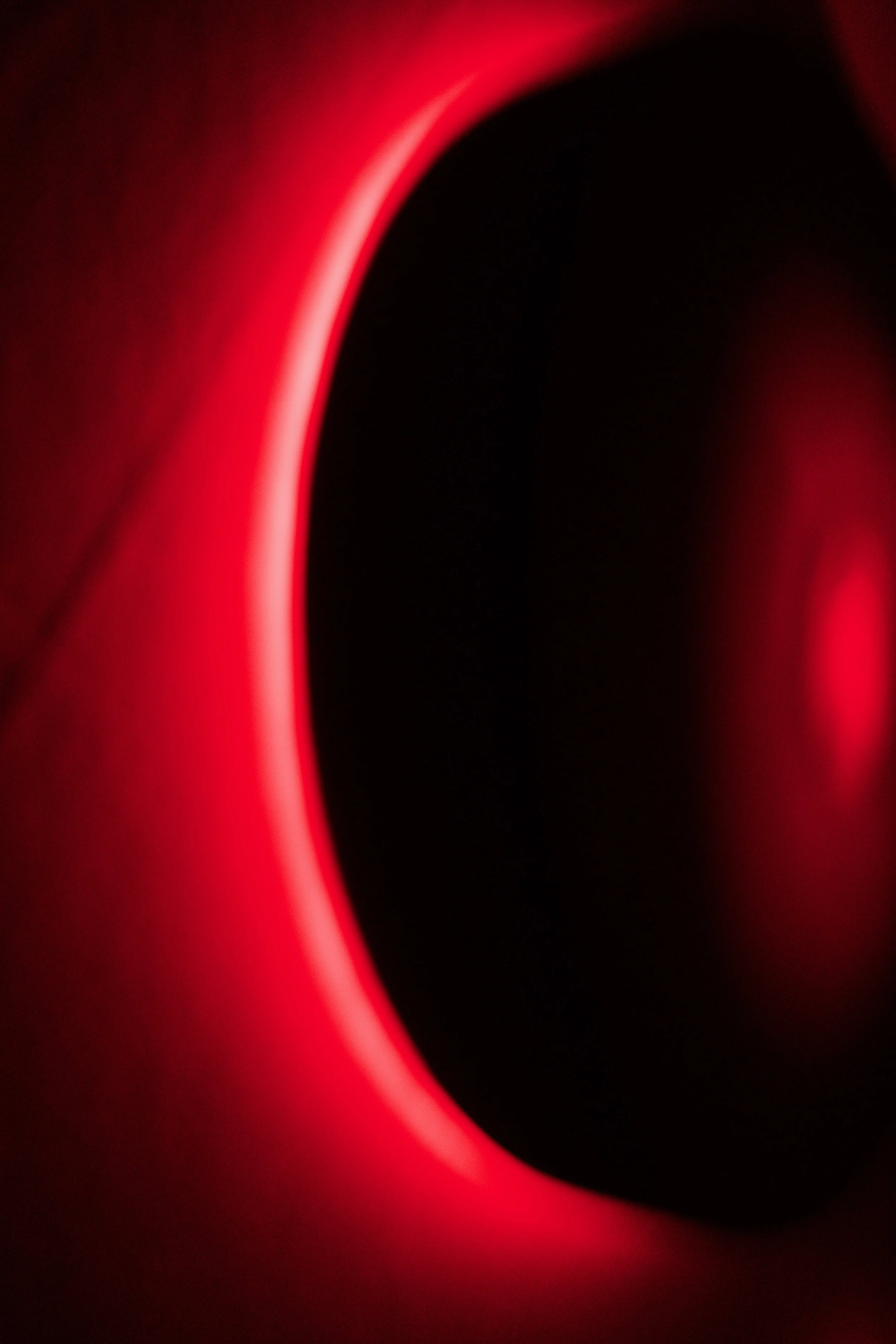  Movement 2023:216 (2023) C-print on wood panel, 60”x40” 