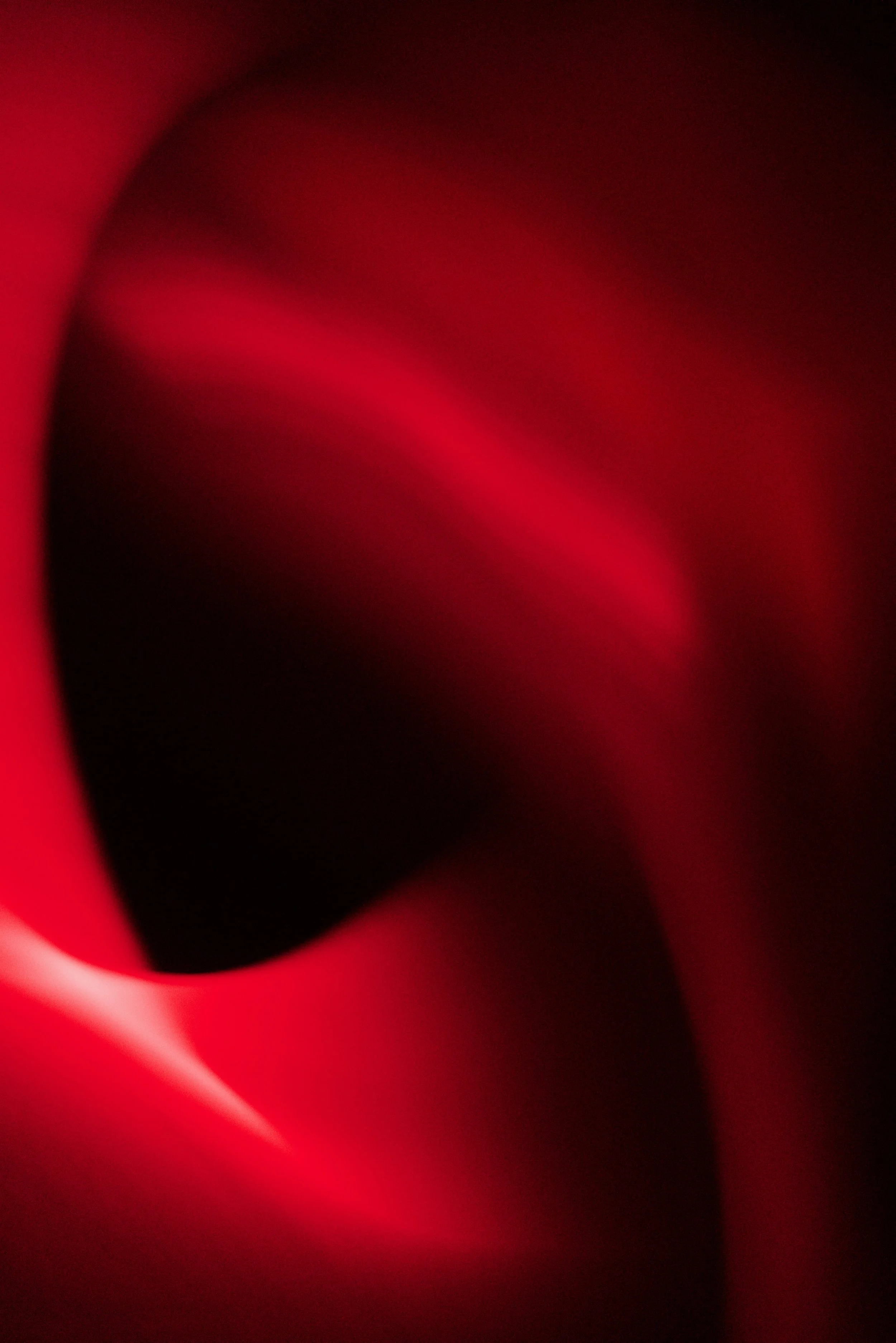  Movement 2023:238 (2023) C-print on wood panel, 60”x40” 