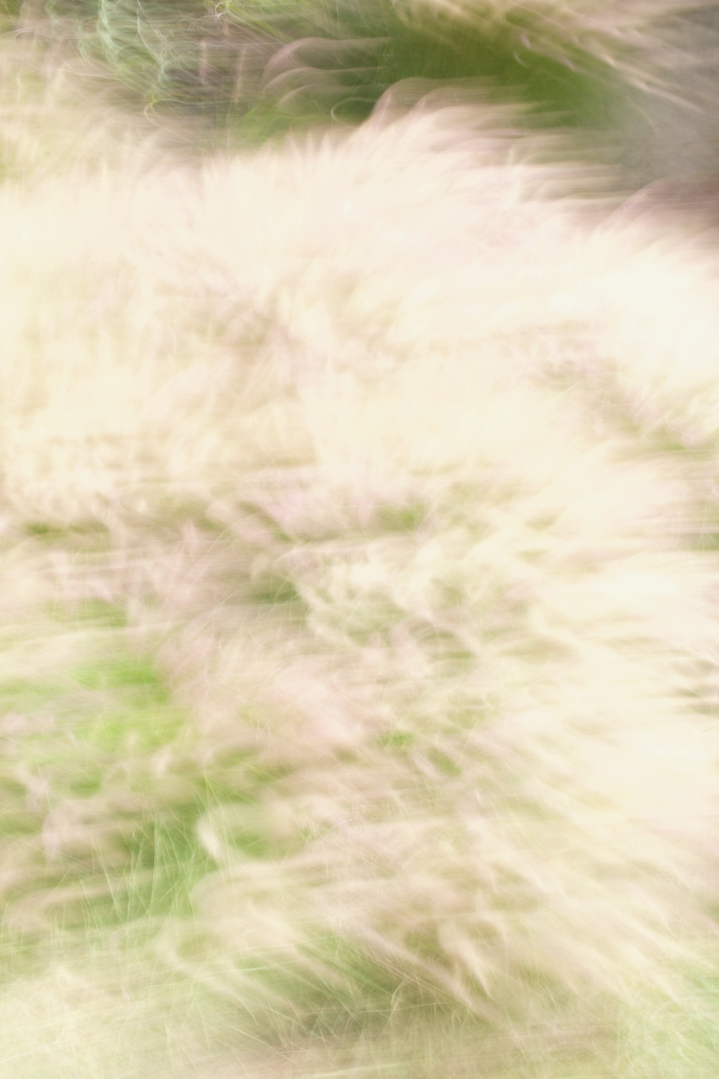  Movement 2023:242 (2023) C-print on wood panel, 60”x40” 