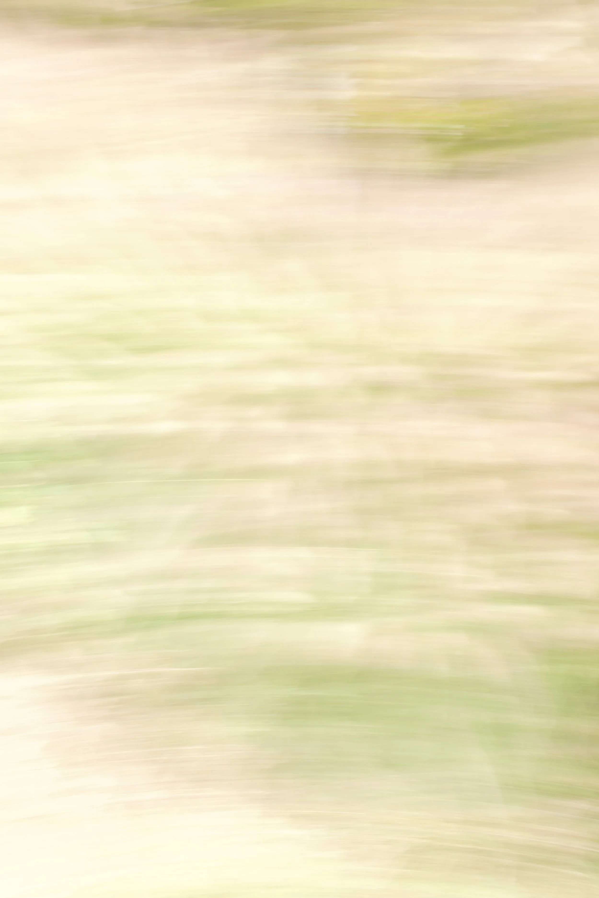  Movement 2023:243 (2023) C-print on wood panel, 60”x40” 