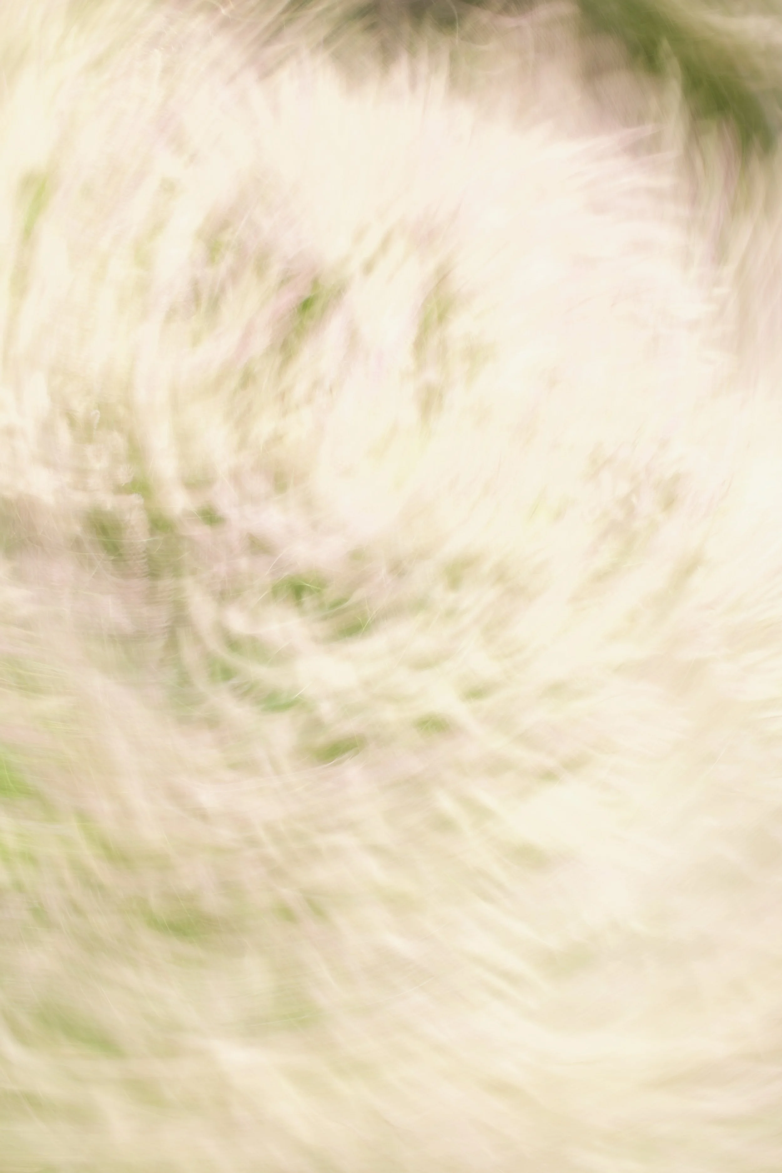  Movement 2023:244 (2023) C-print on wood panel, 60”x40” 