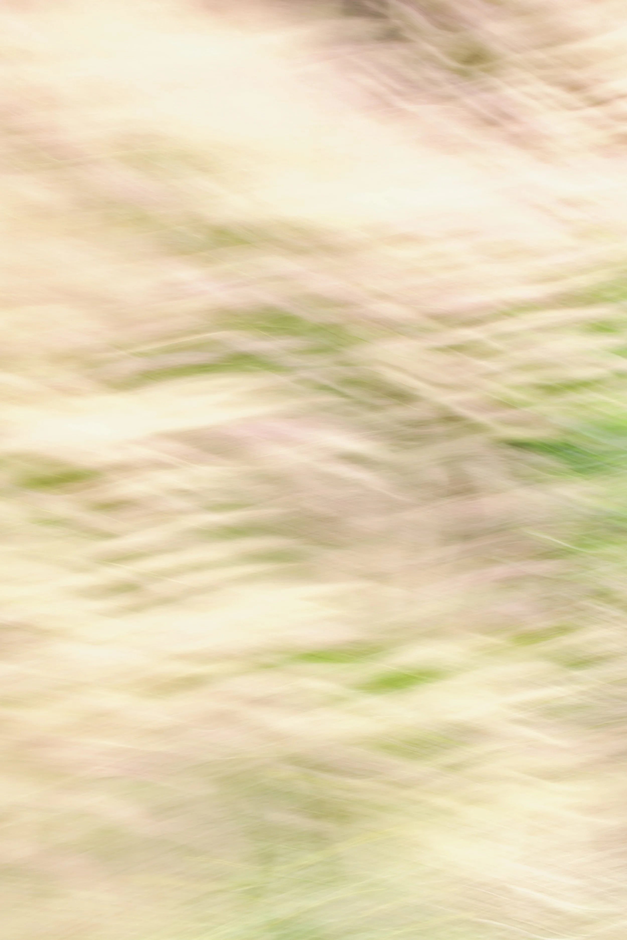  Movement 2023:245 (2023) C-print on wood panel, 60”x40” 