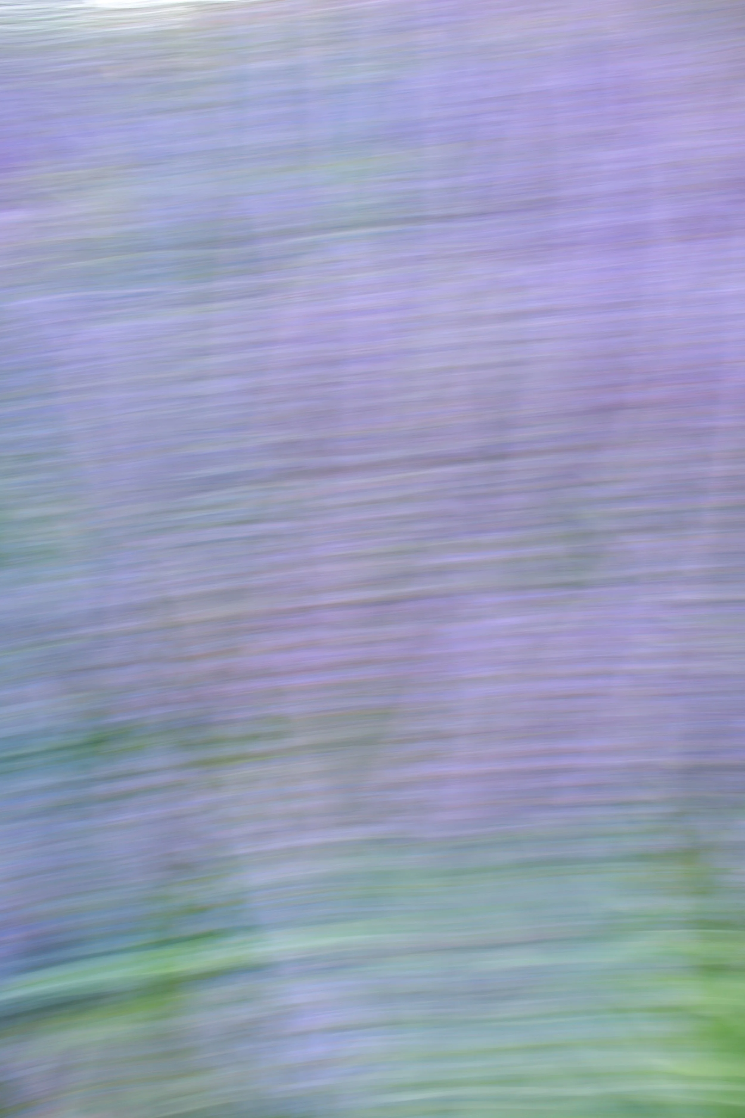  Movement 2023:246 (2023) C-print on wood panel, 60”x40” 