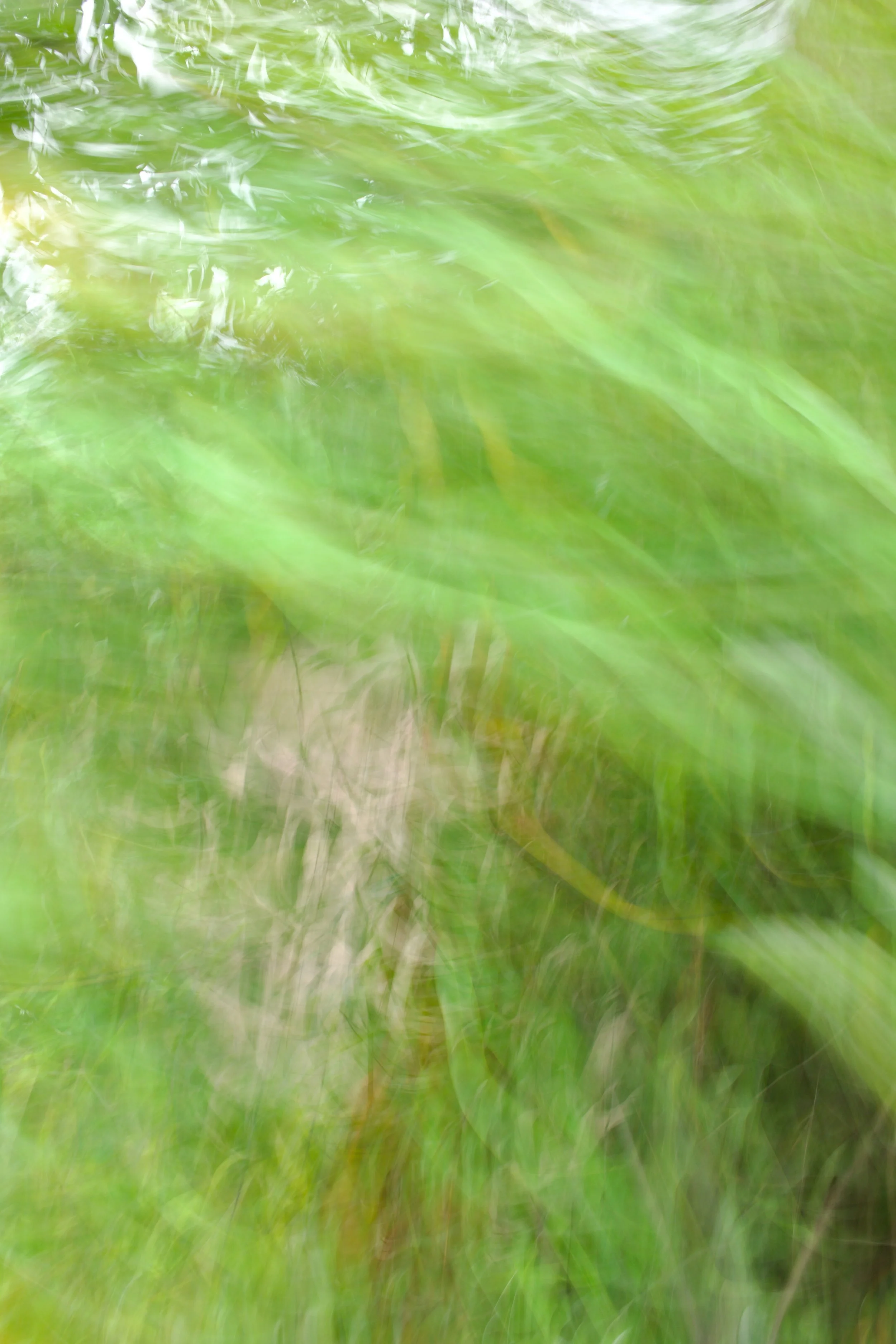  Movement 2023:248 (2023) C-print on wood panel, 60”x40” 