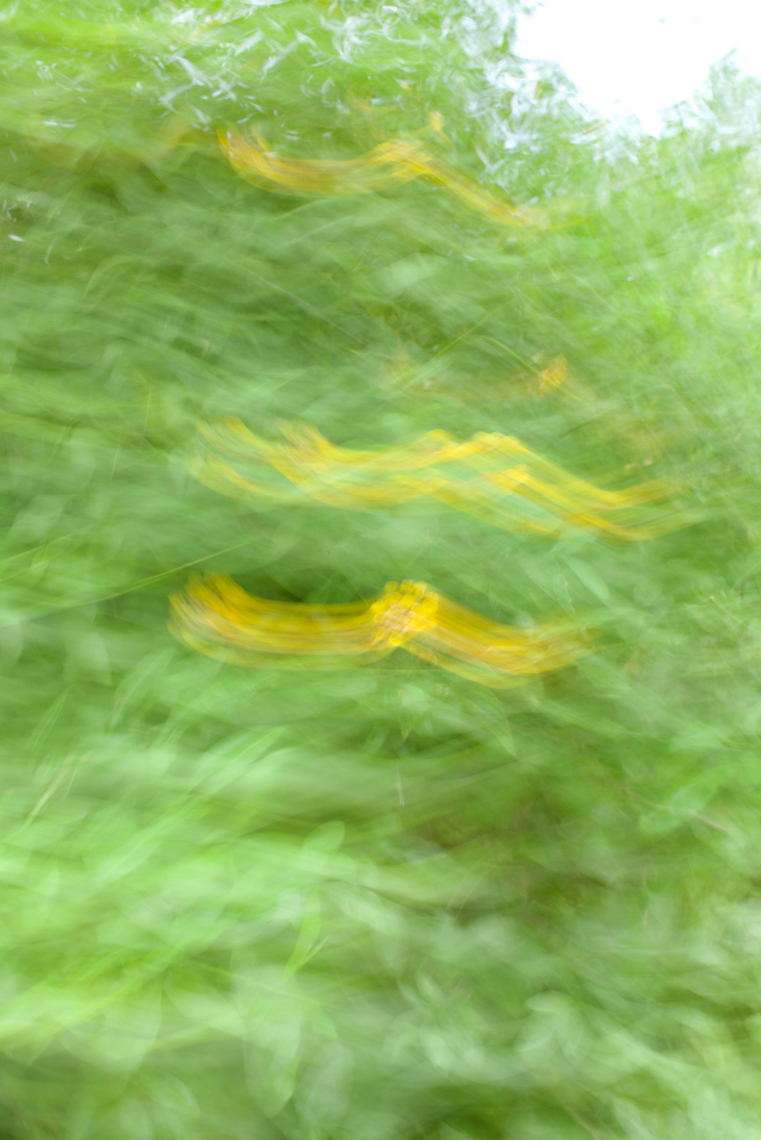  Movement 2023:249 (2023) C-print on wood panel, 60”x40” 