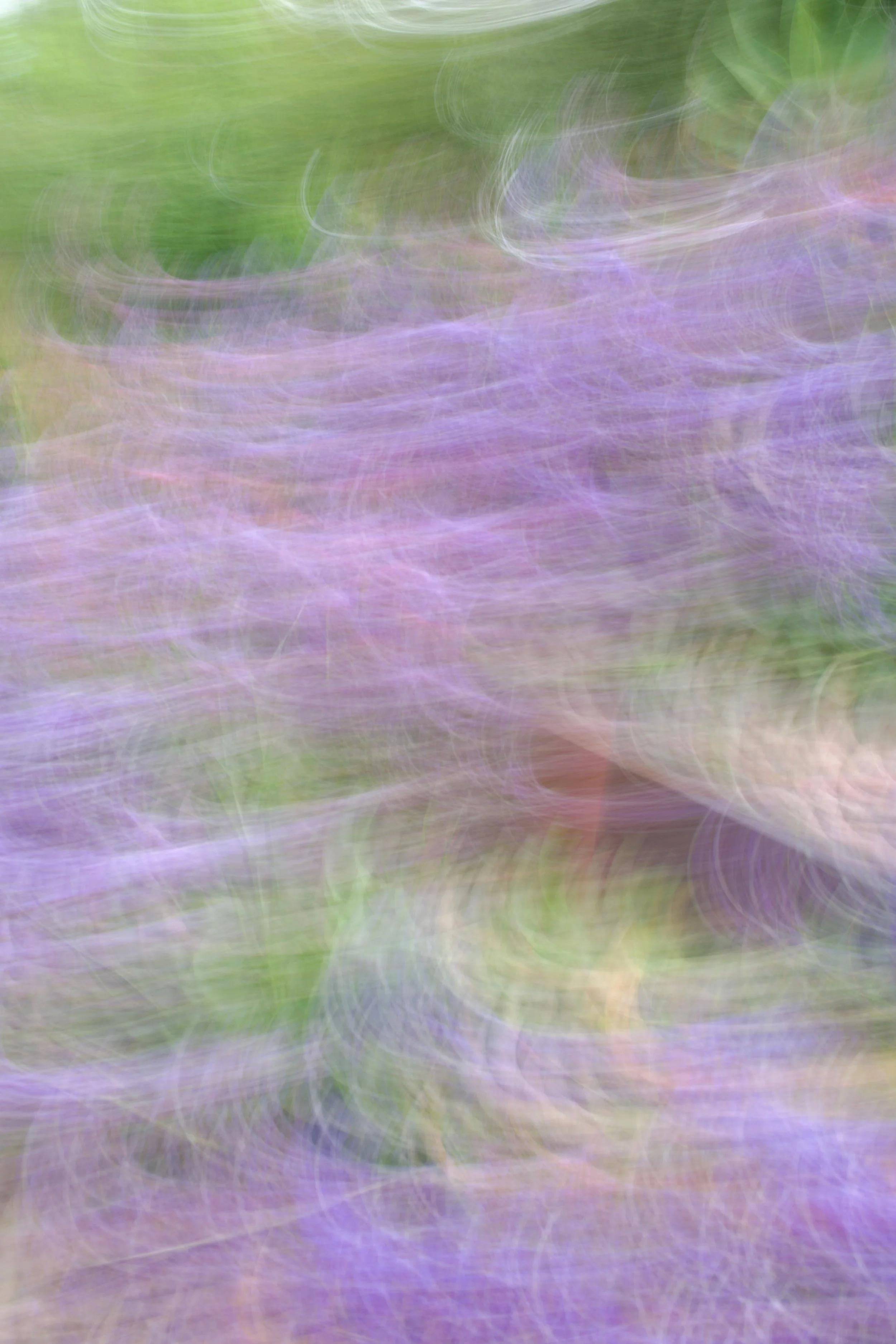  Movement 2023:251 (2023) C-print on wood panel, 60”x40” 