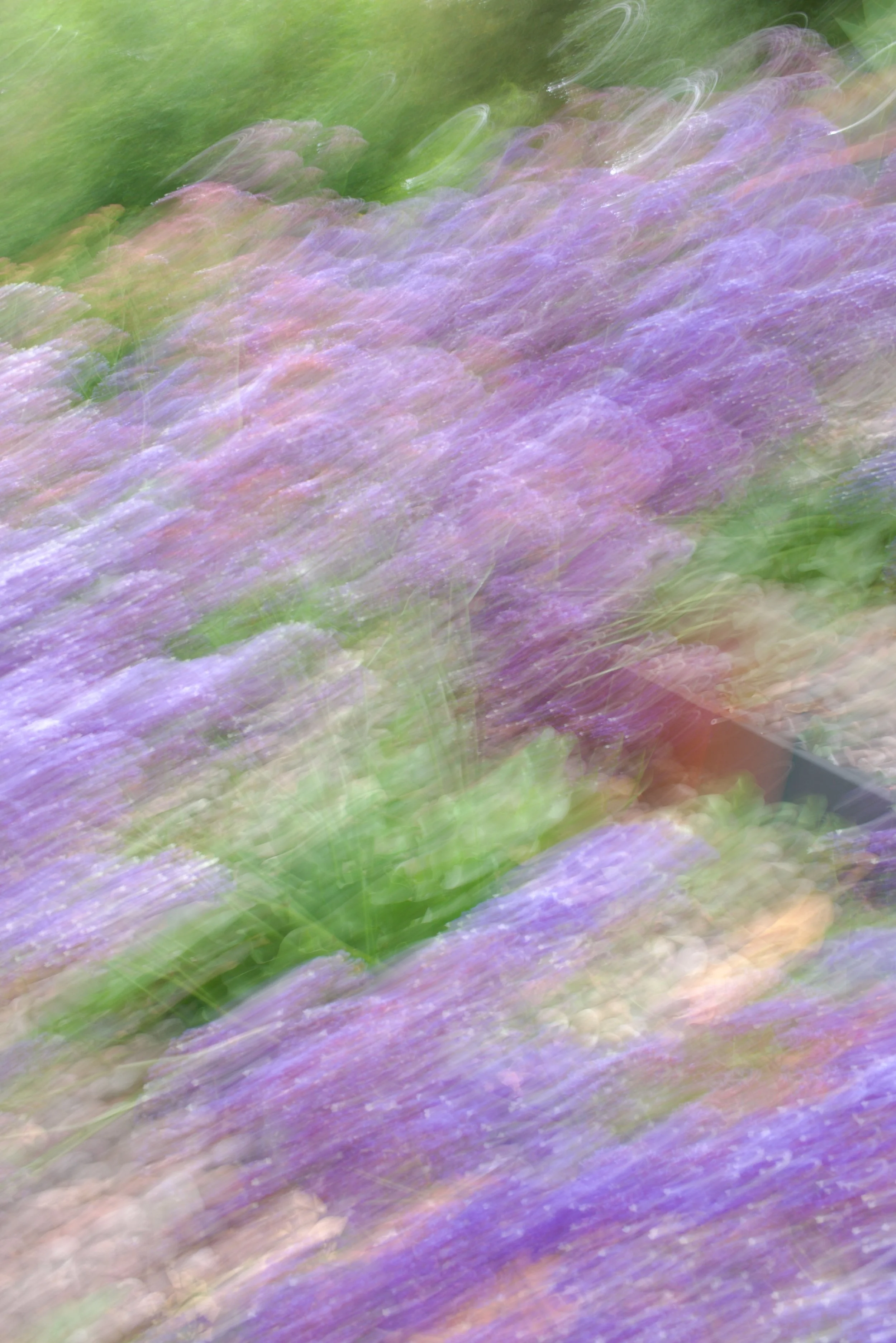  Movement 2023:252 (2023) C-print on wood panel, 60”x40” 