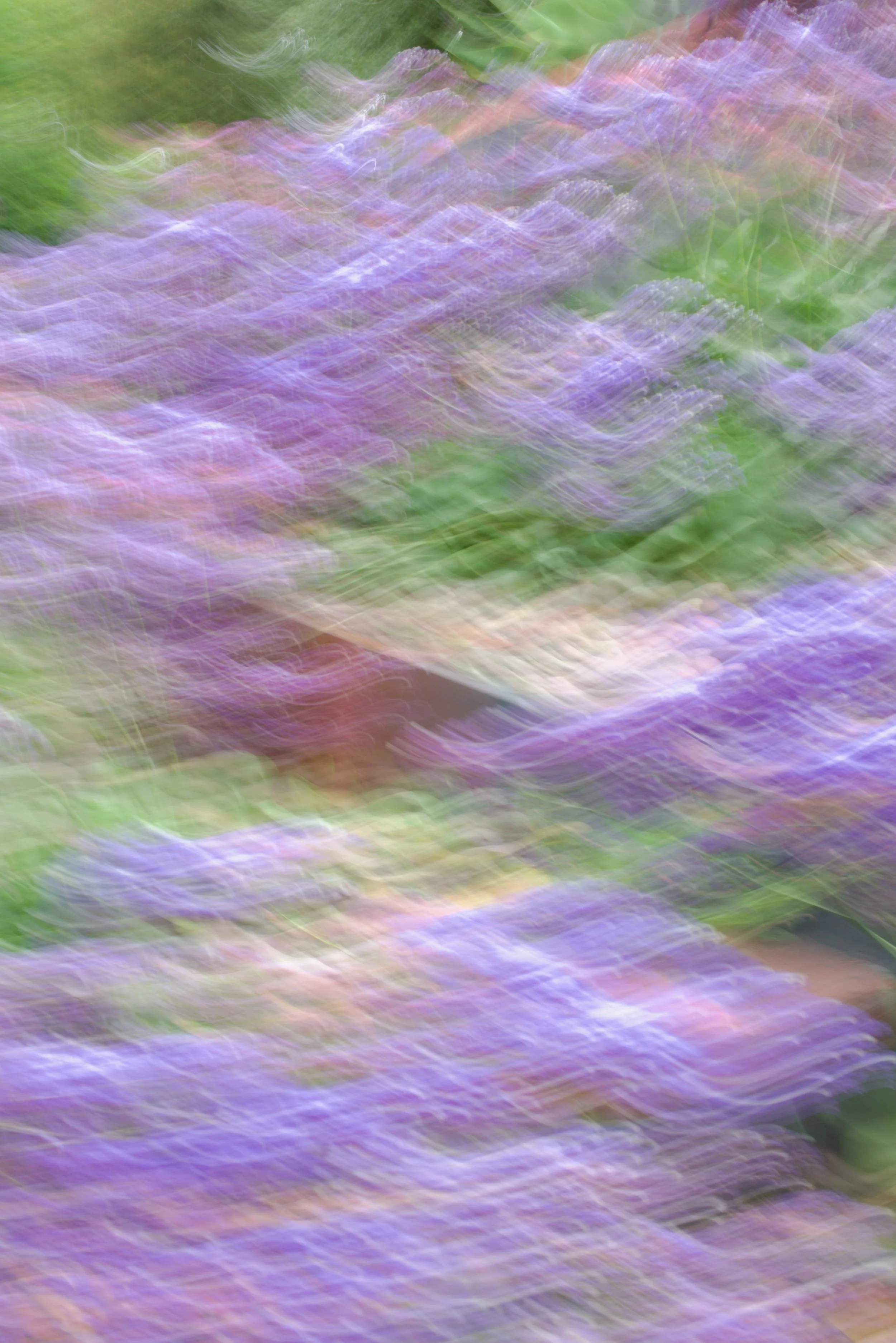  Movement 2023:253 (2023) C-print on wood panel, 60”x40” 