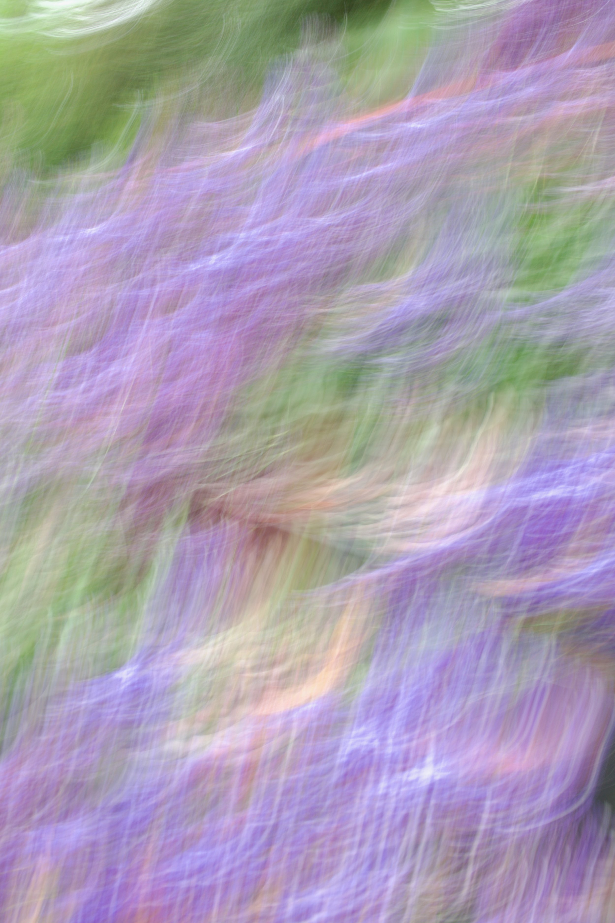  Movement 2023:254 (2023) C-print on wood panel, 60”x40” 