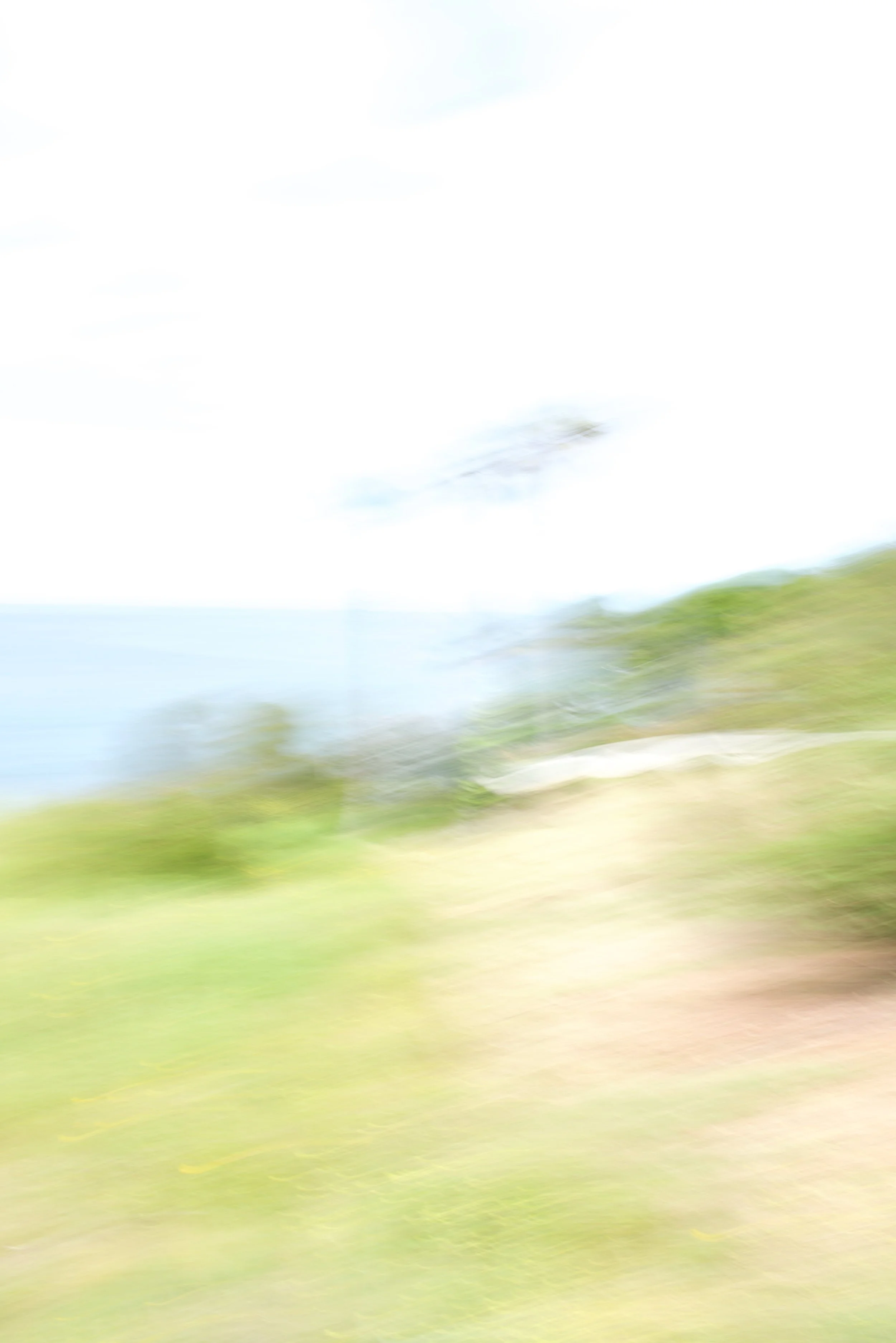  Movement 2023:255 (2023) C-print on wood panel, 60”x40” 