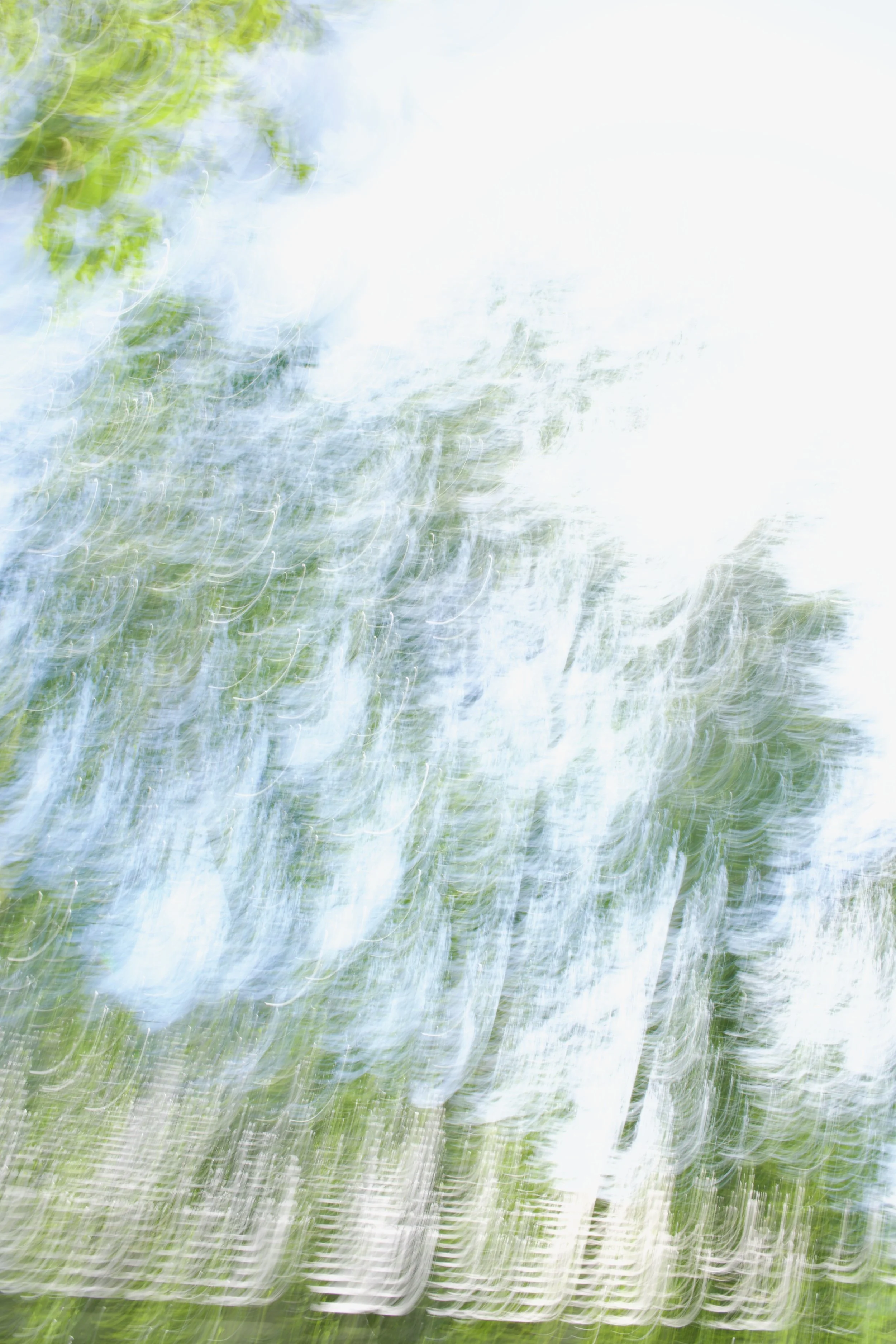  Movement 2023:257 (2023) C-print on wood panel, 60”x40” 