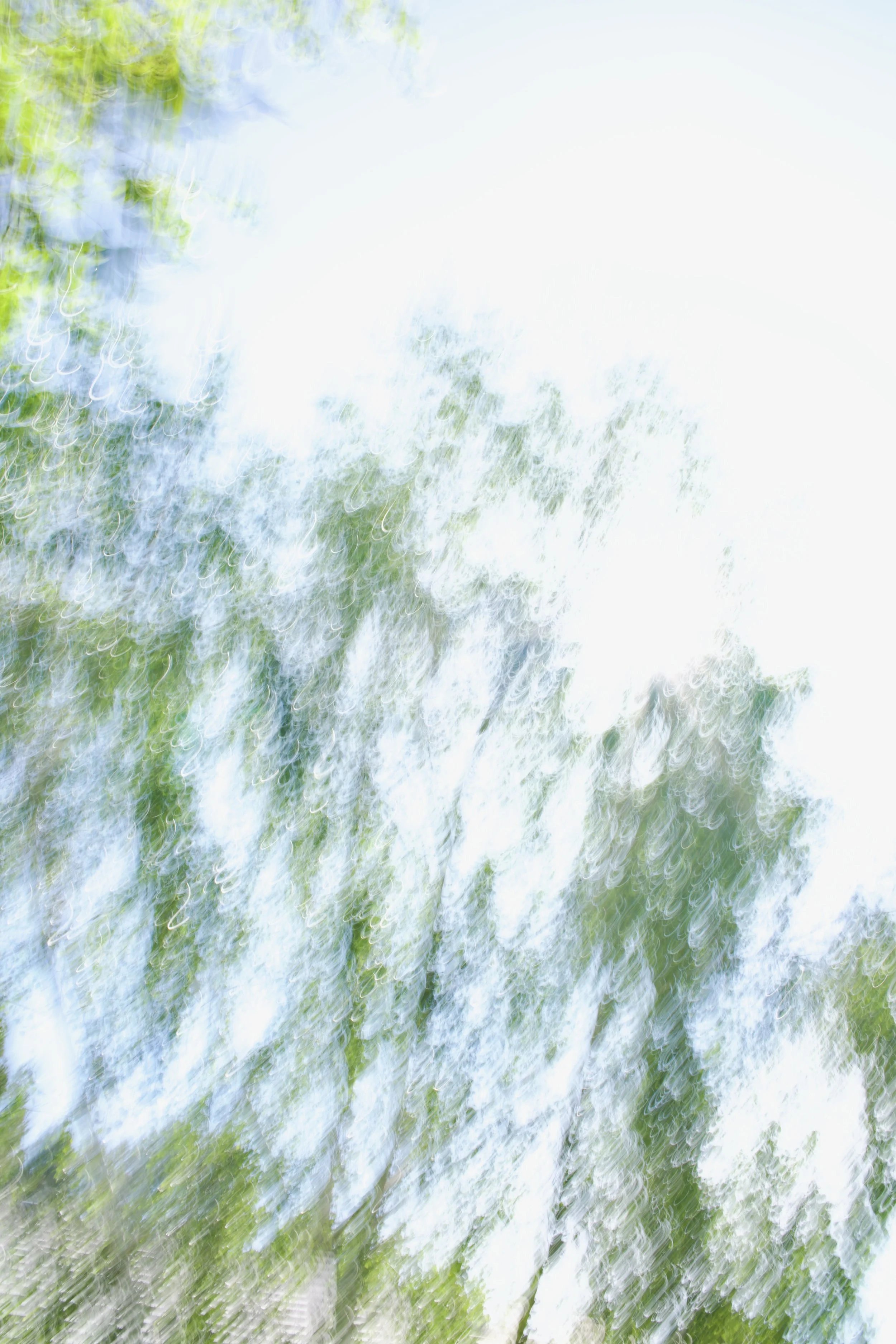  Movement 2023:259 (2023) C-print on wood panel, 60”x40” 