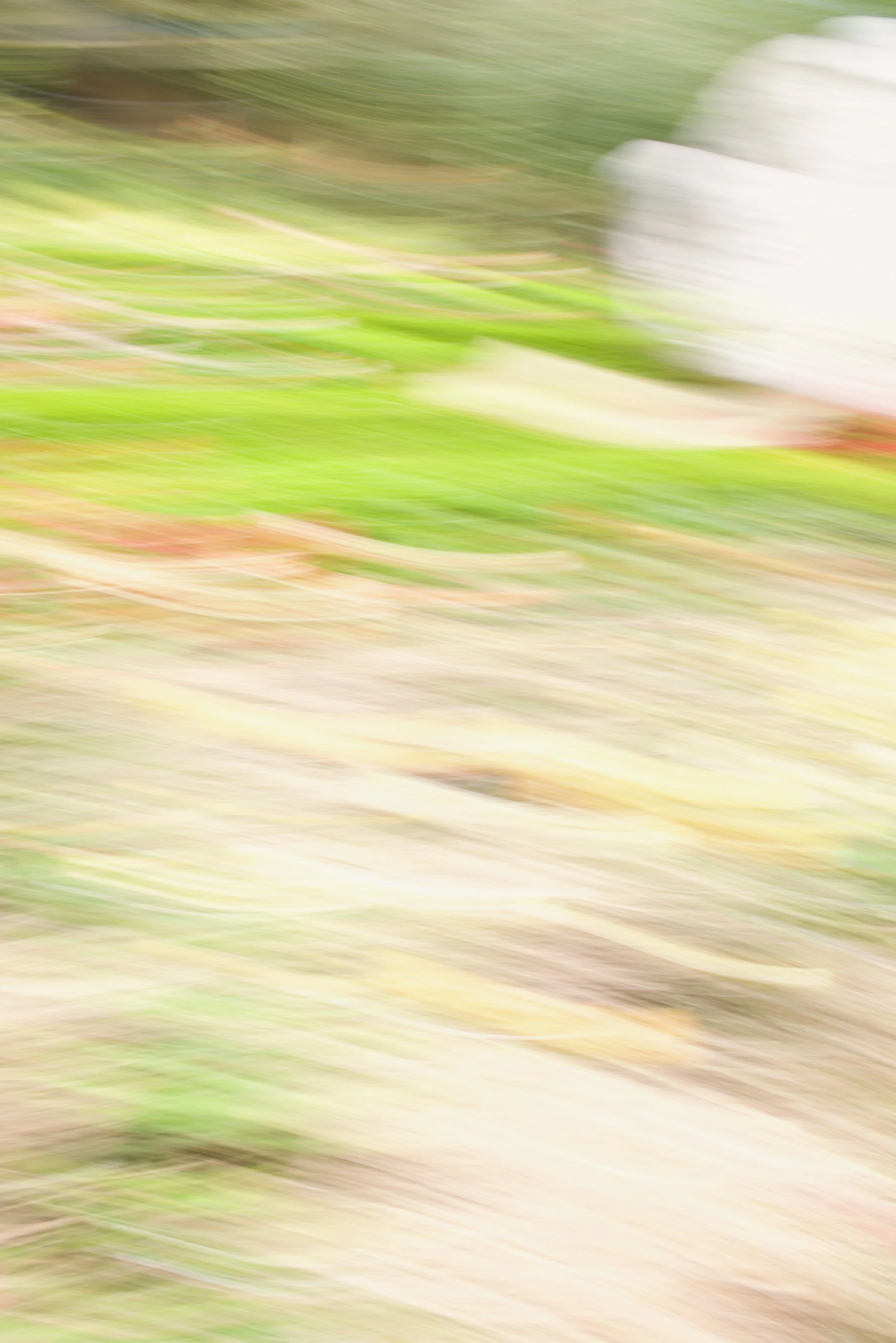  Movement 2023:263 (2023) C-print on wood panel, 60”x40” 