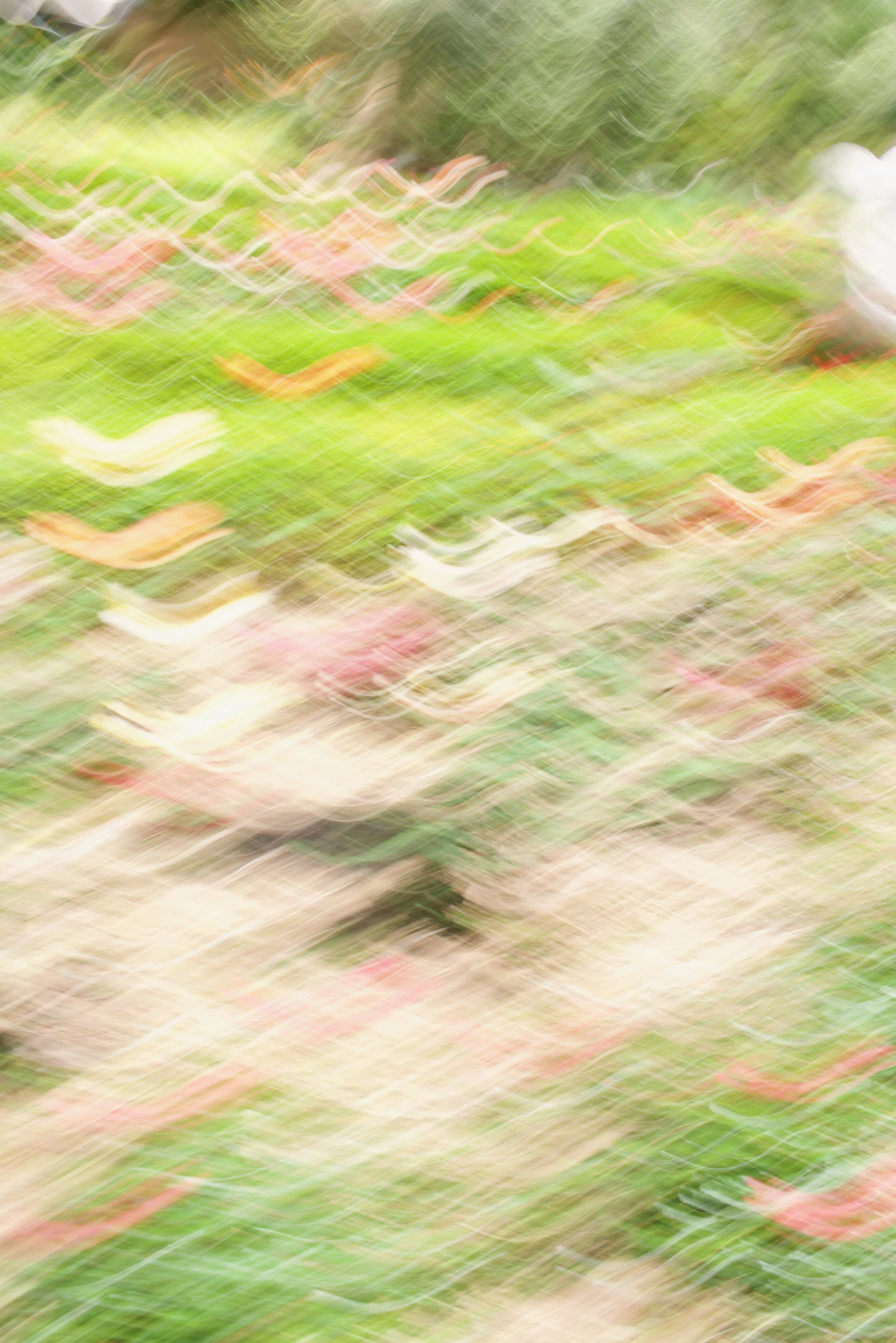  Movement 2023:262 (2023) C-print on wood panel, 60”x40” 