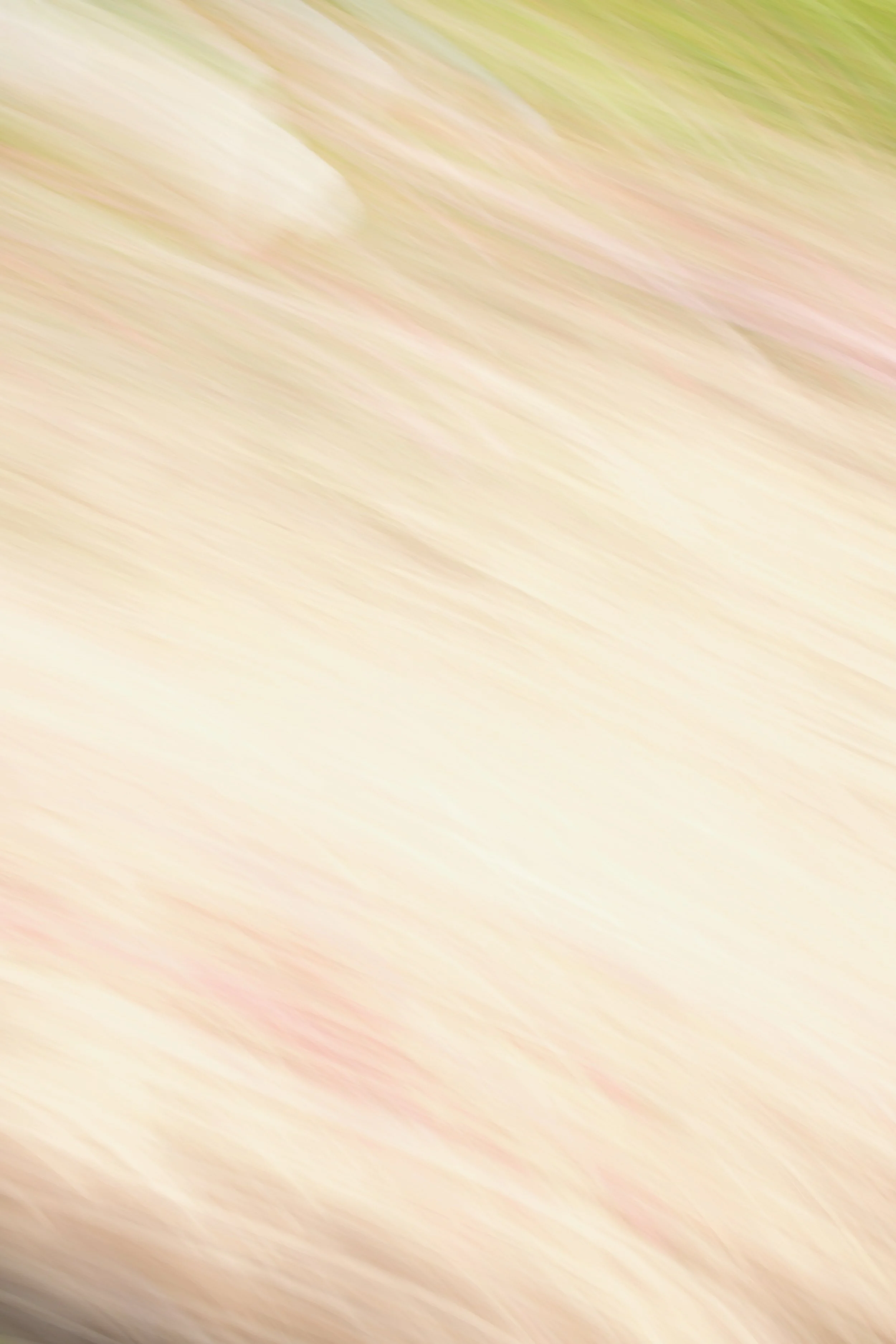  Movement 2023:267 (2023) C-print on wood panel, 60”x40” 