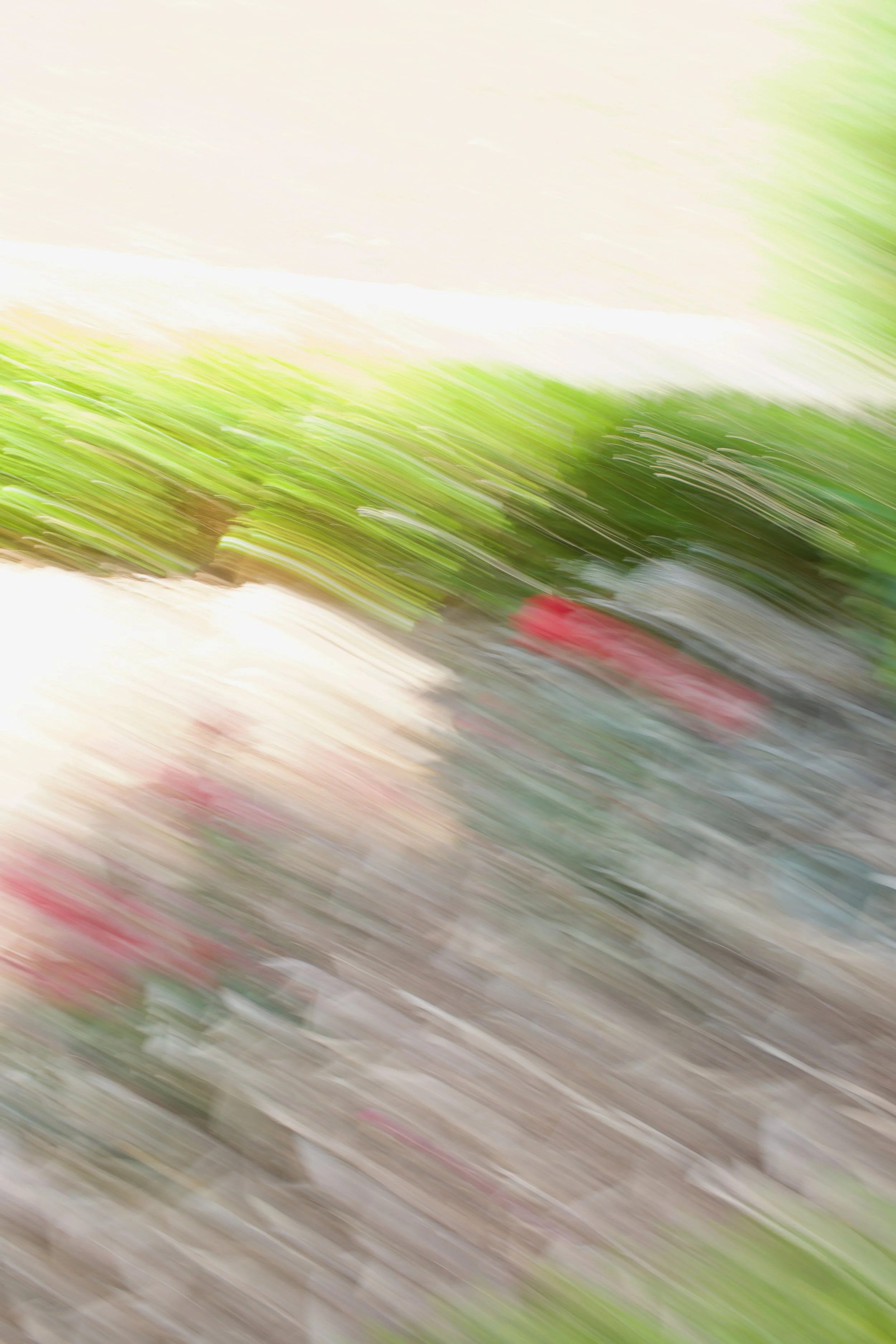  Movement 2023:268 (2023) C-print on wood panel, 60”x40” 