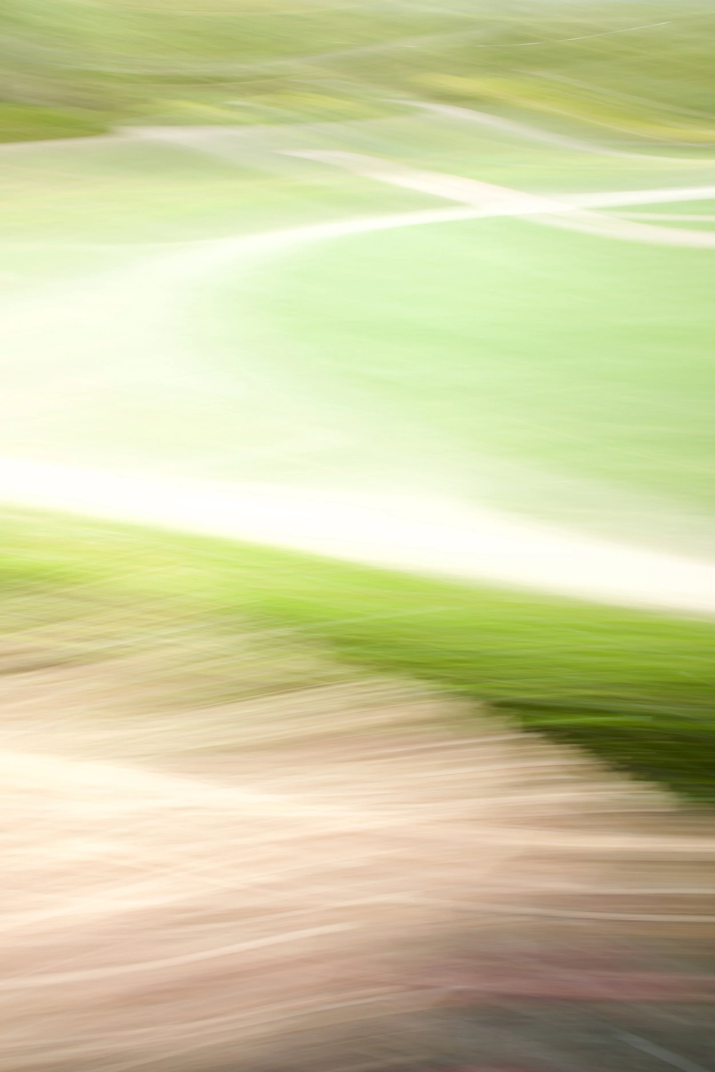  Movement 2023:269 (2023) C-print on wood panel, 60”x40” 