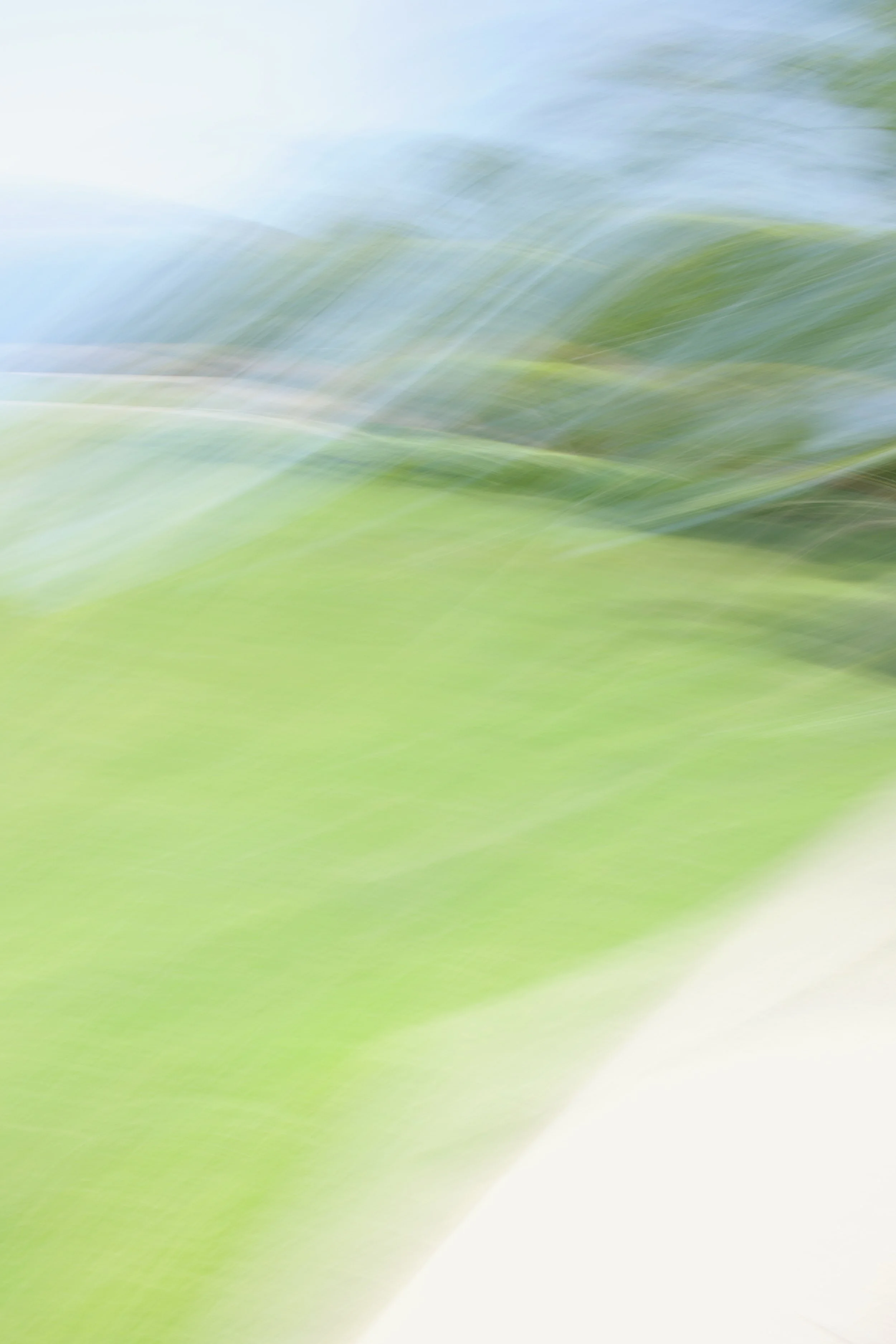  Movement 2023:273 (2023) C-print on wood panel, 60”x40” 