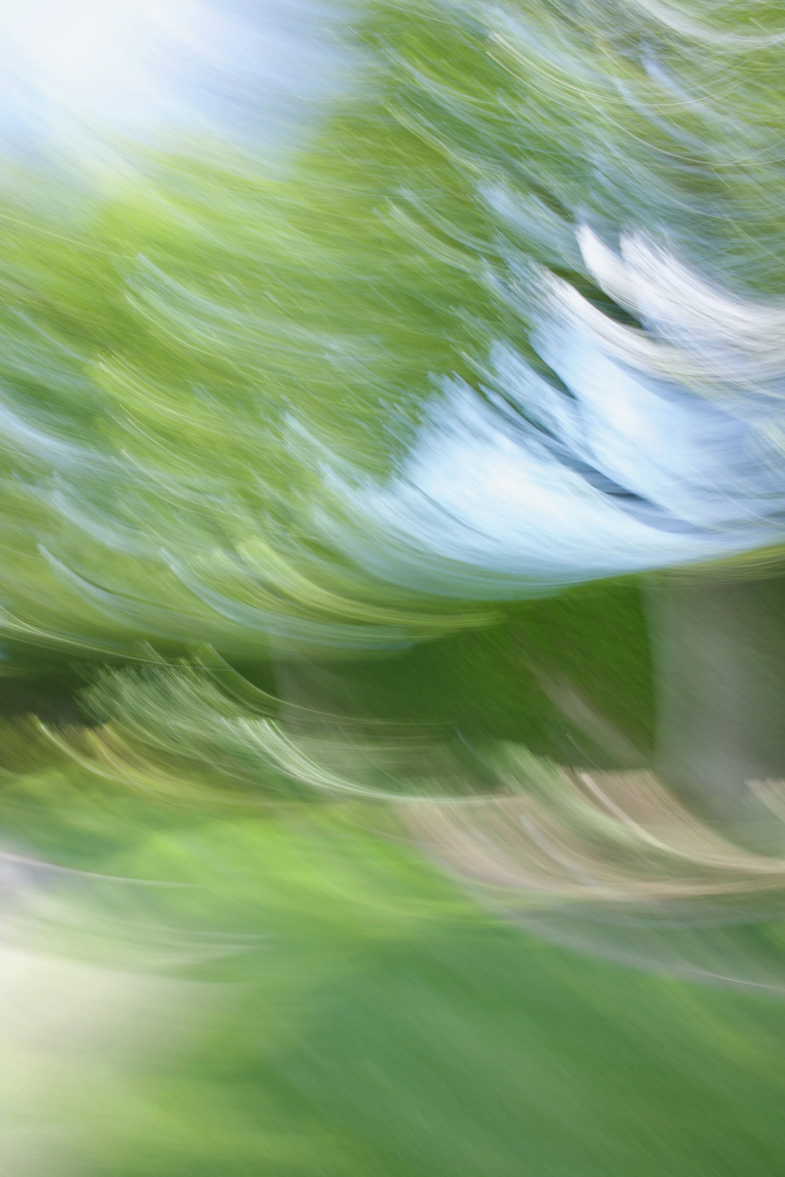  Movement 2023:272 (2023) C-print on wood panel, 60”x40” 