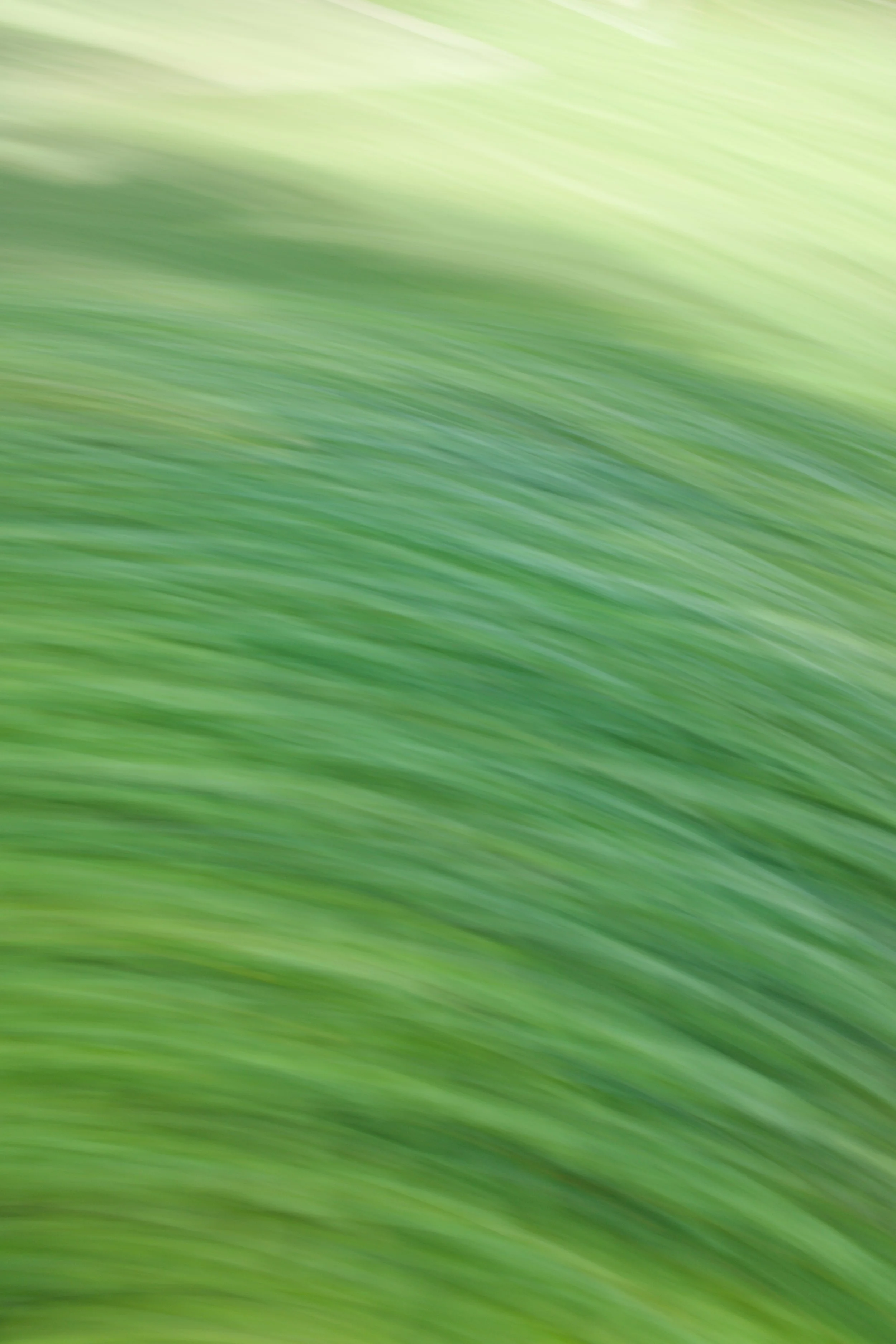  Movement 2023:277 (2023) C-print on wood panel, 60”x40” 