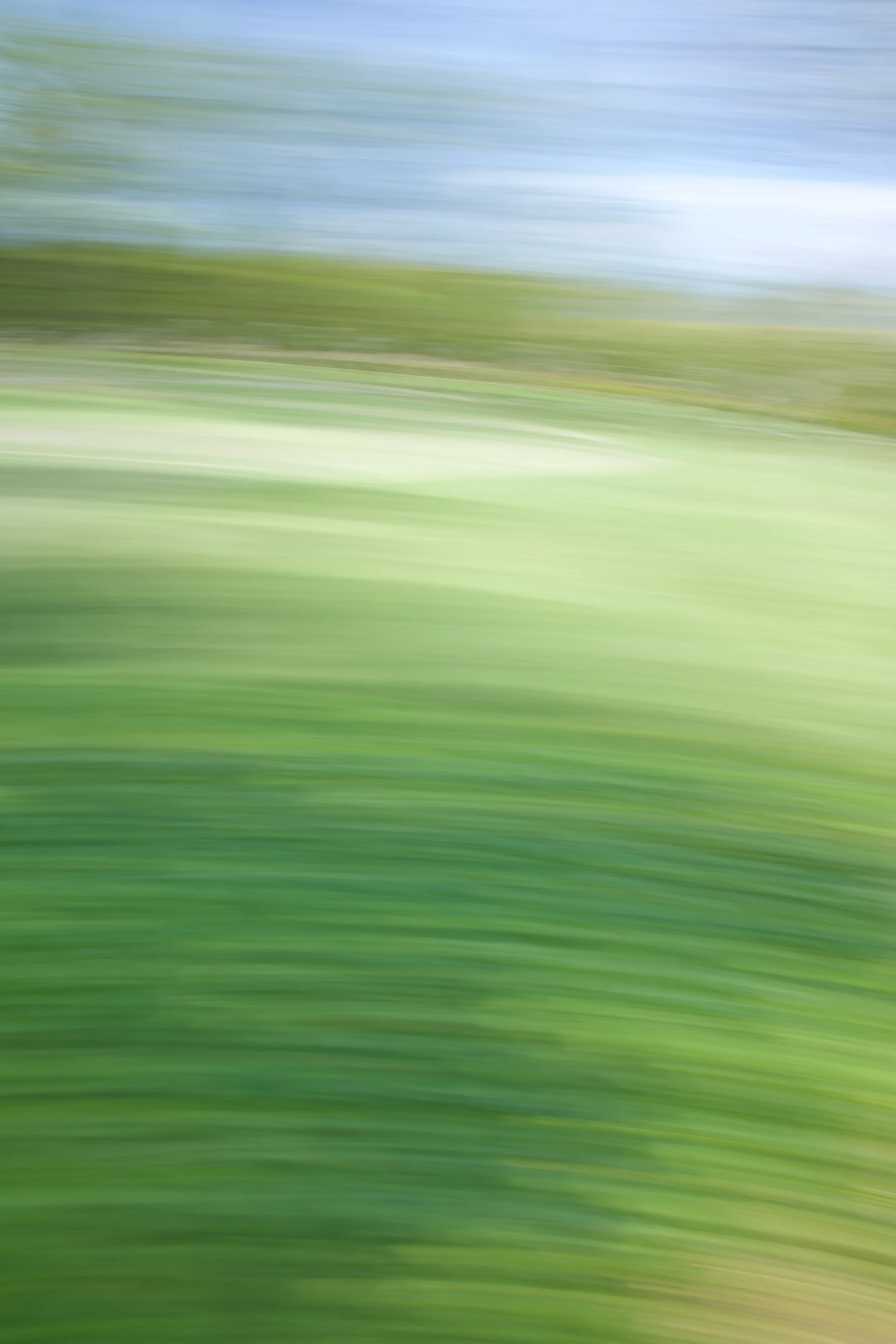  Movement 2023:278 (2023) C-print on wood panel, 60”x40” 